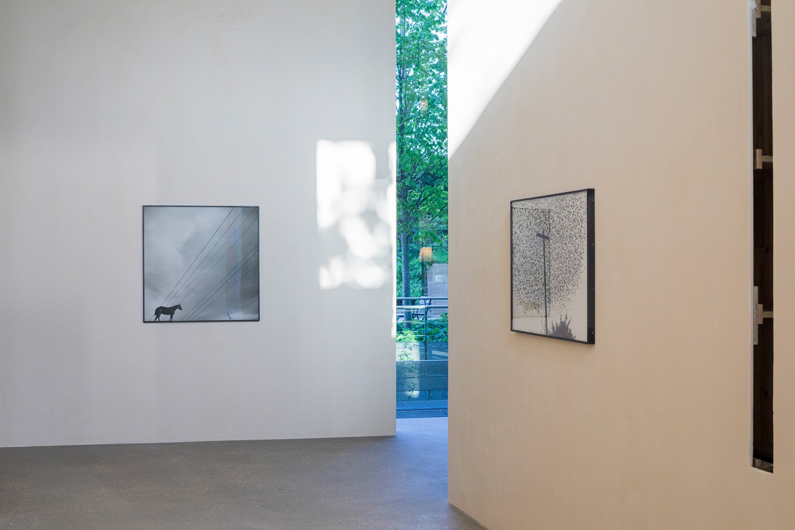 julien-lelievre-aura-17