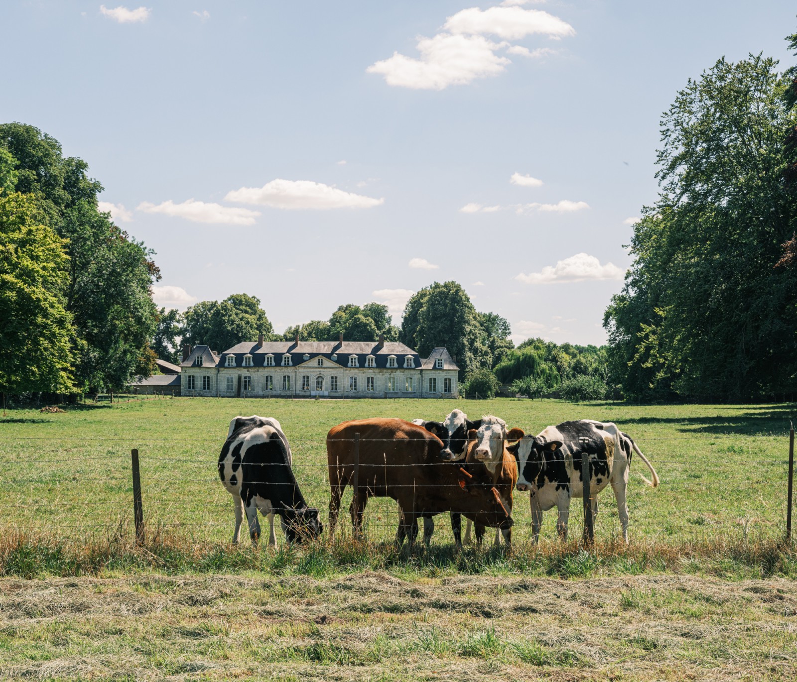 lelievre-remiencourt-dscf0849