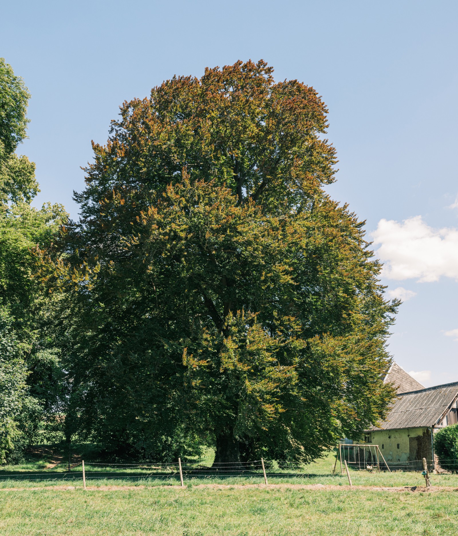 lelievre-remiencourt-dscf0846