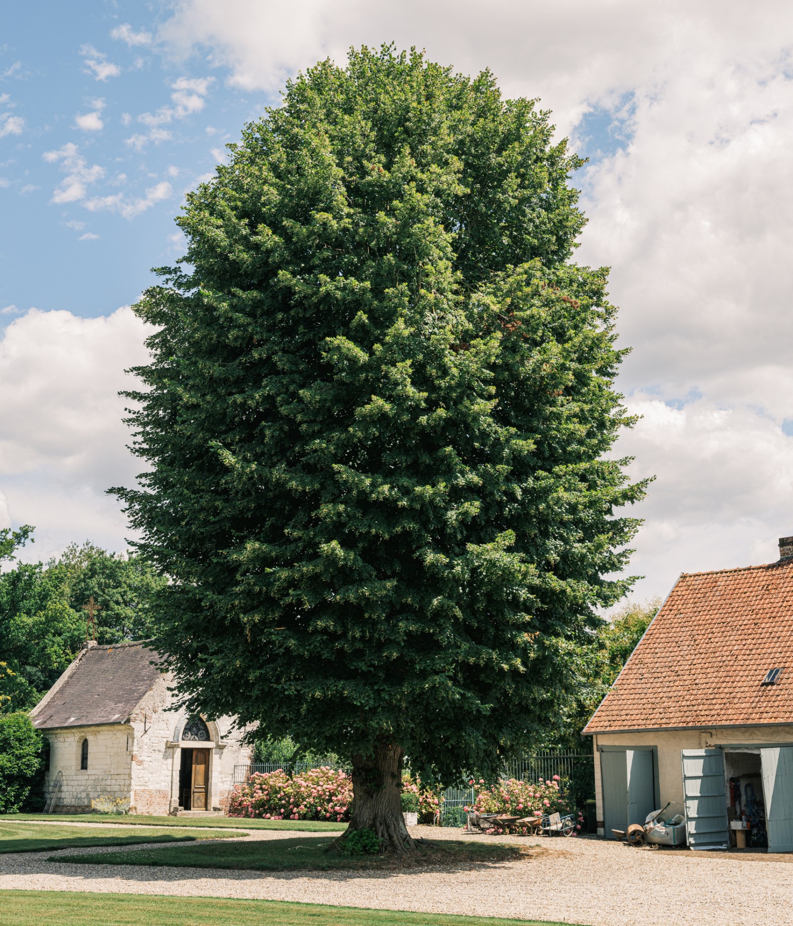 lelievre-clairy-dscf0202