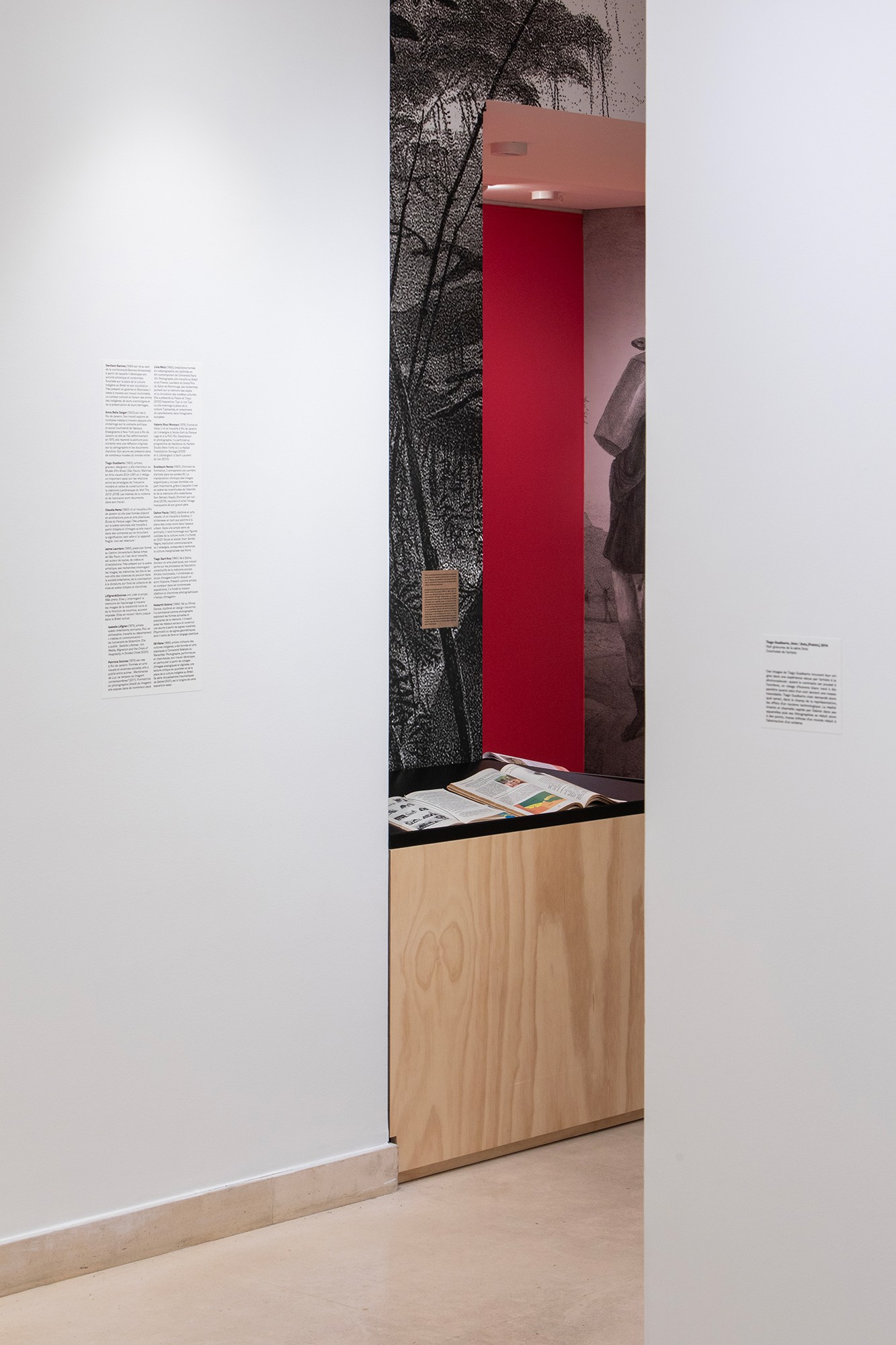 lelievre-moutis-bresil-a31a1197