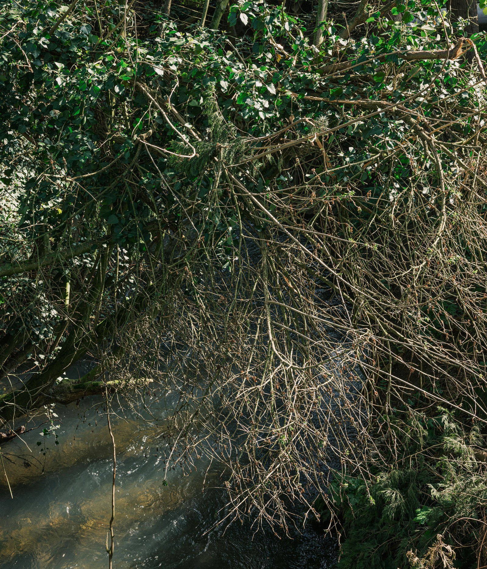 julienlelievre-somme-j1-124