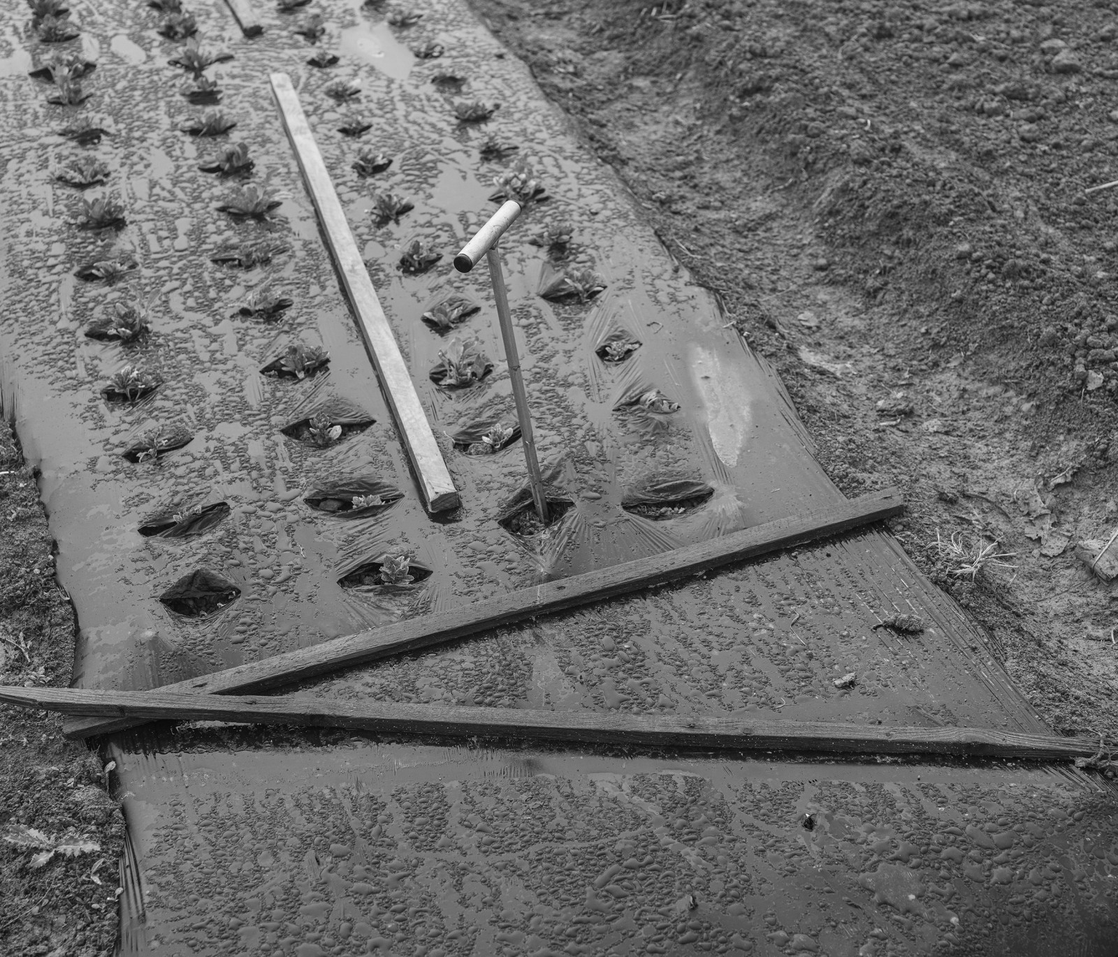 julien-lelievre-poliveau-photo-dscf9724