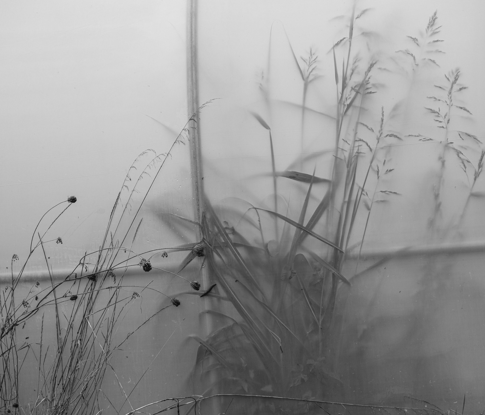 julien-lelievre-poliveau-photo-dscf9603