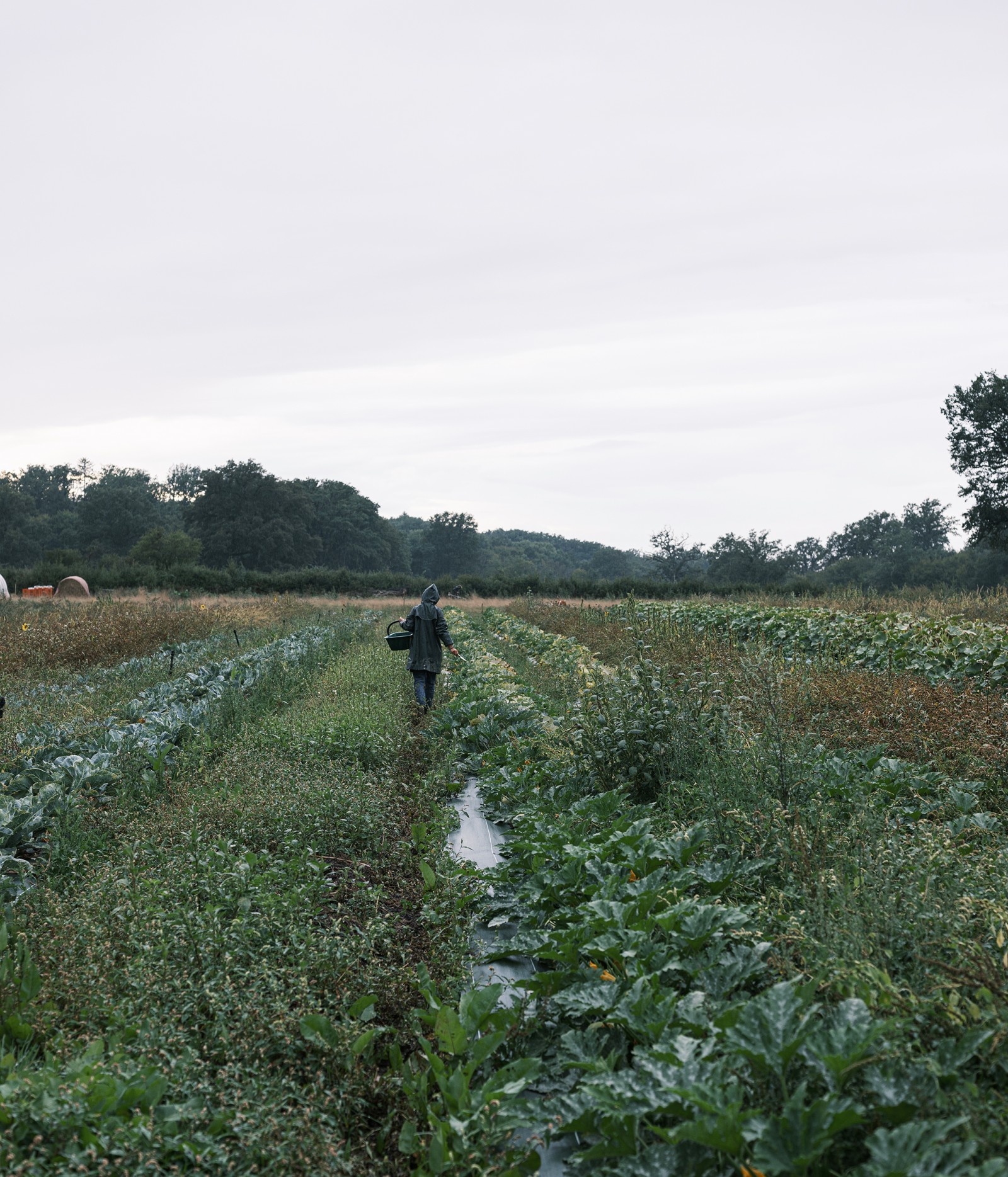julien-lelievre-poliveau-photo-dscf9552