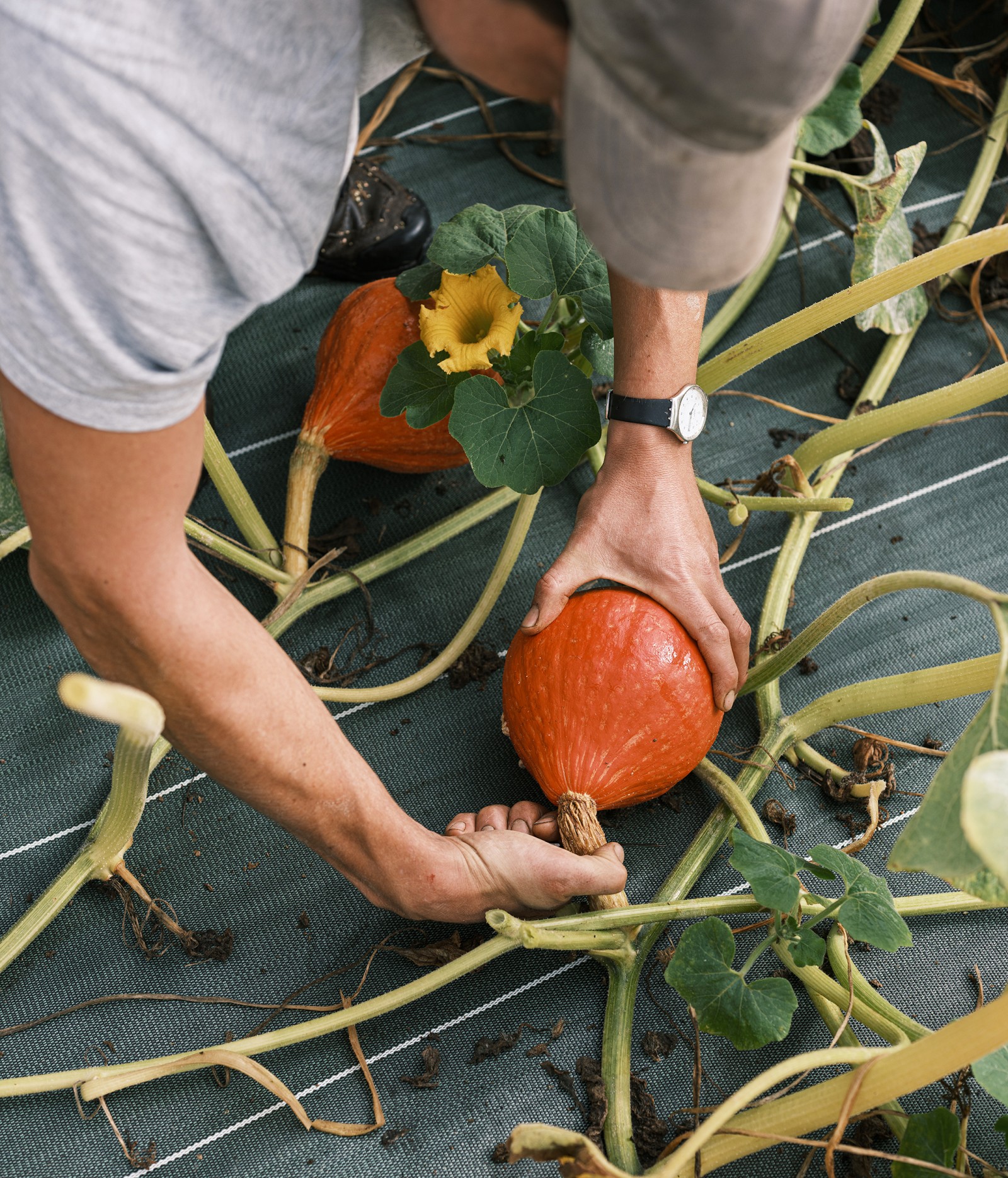 julien-lelievre-poliveau-photo-dscf9793
