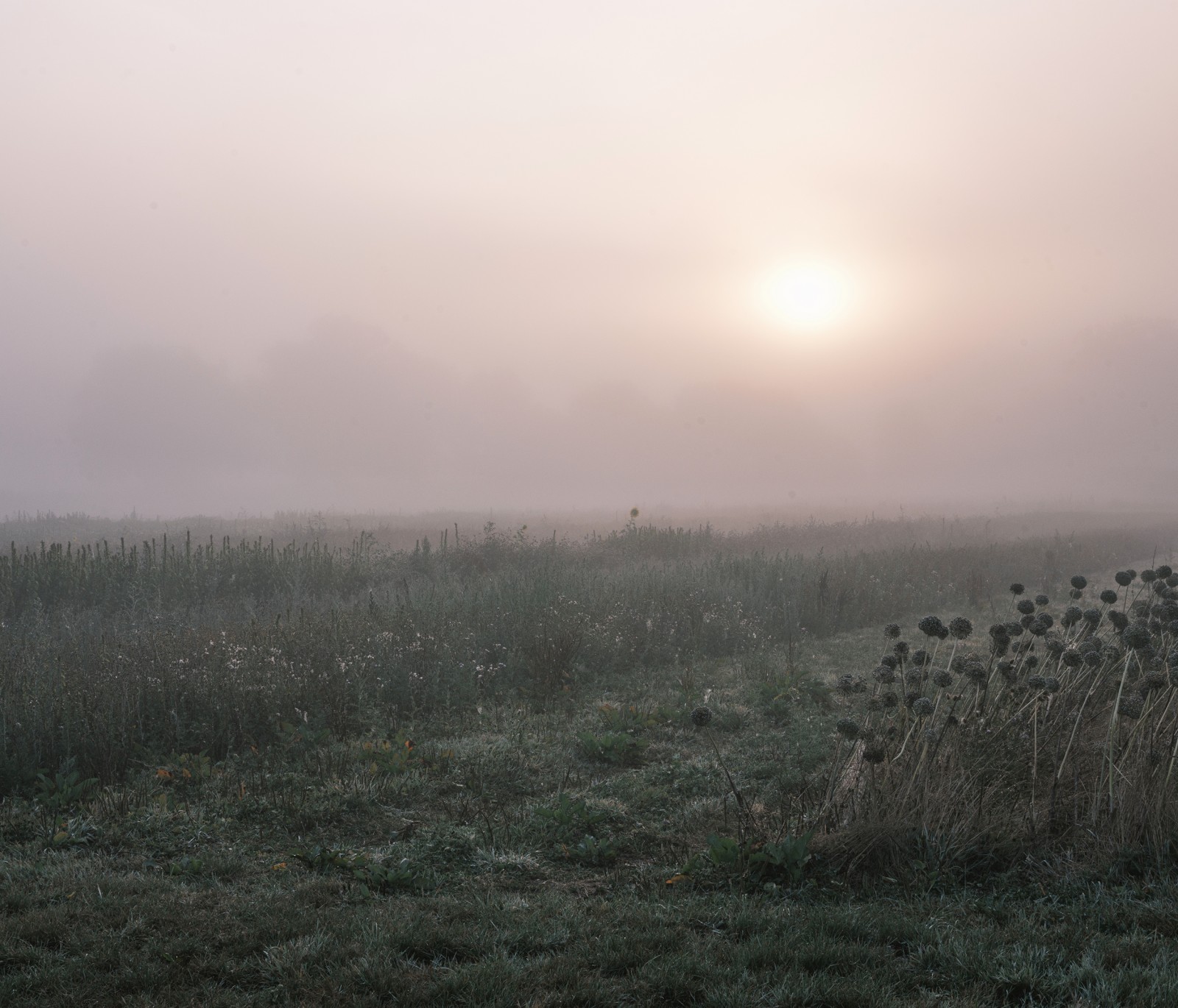 julien-lelievre-poliveau-photo-dscf9688