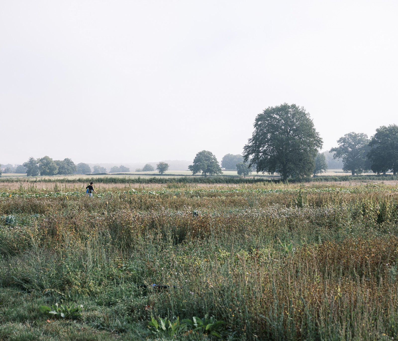 julien-lelievre-poliveau-photo-dscf9879