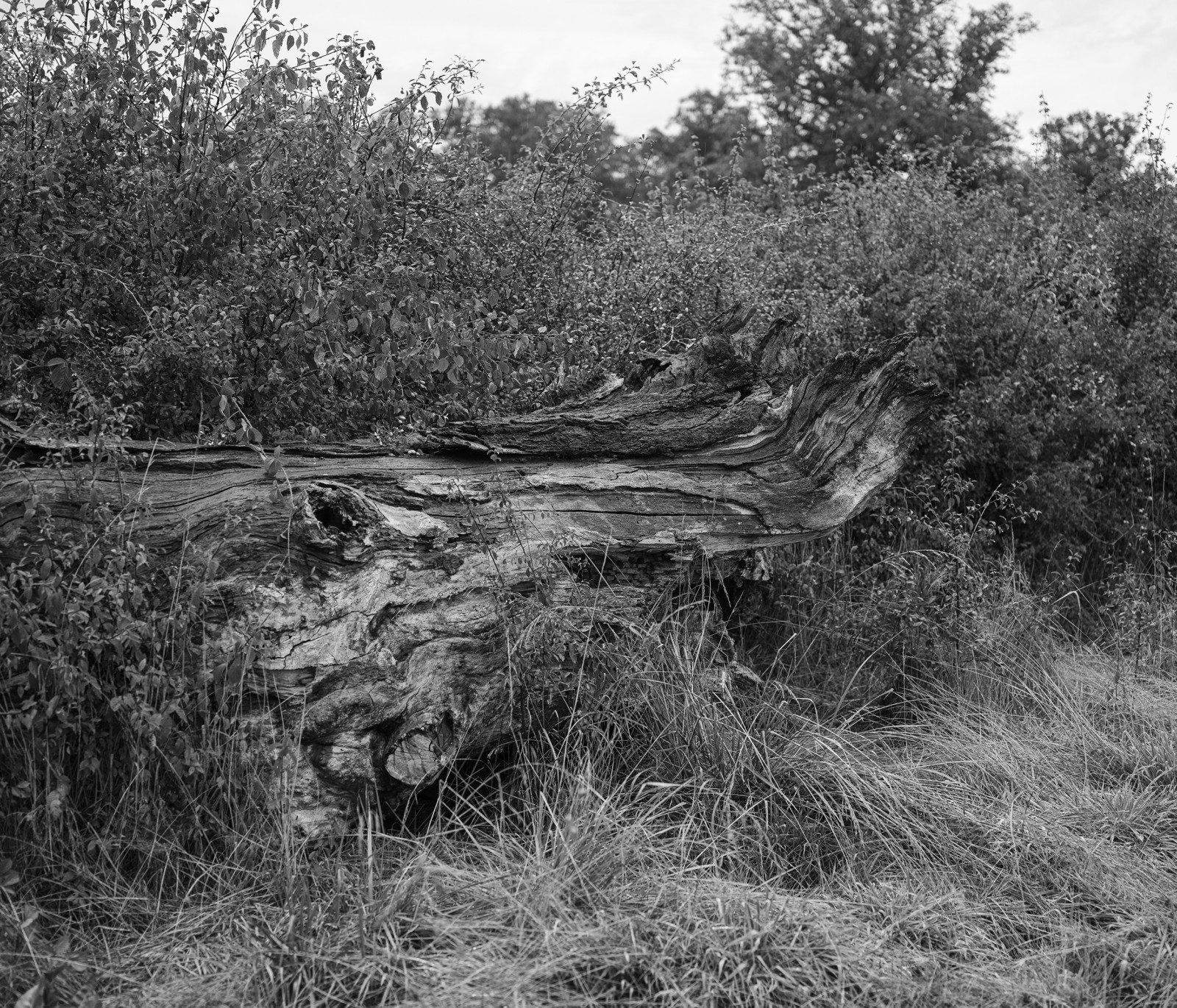 julien-lelievre-poliveau-photo-dscf9575