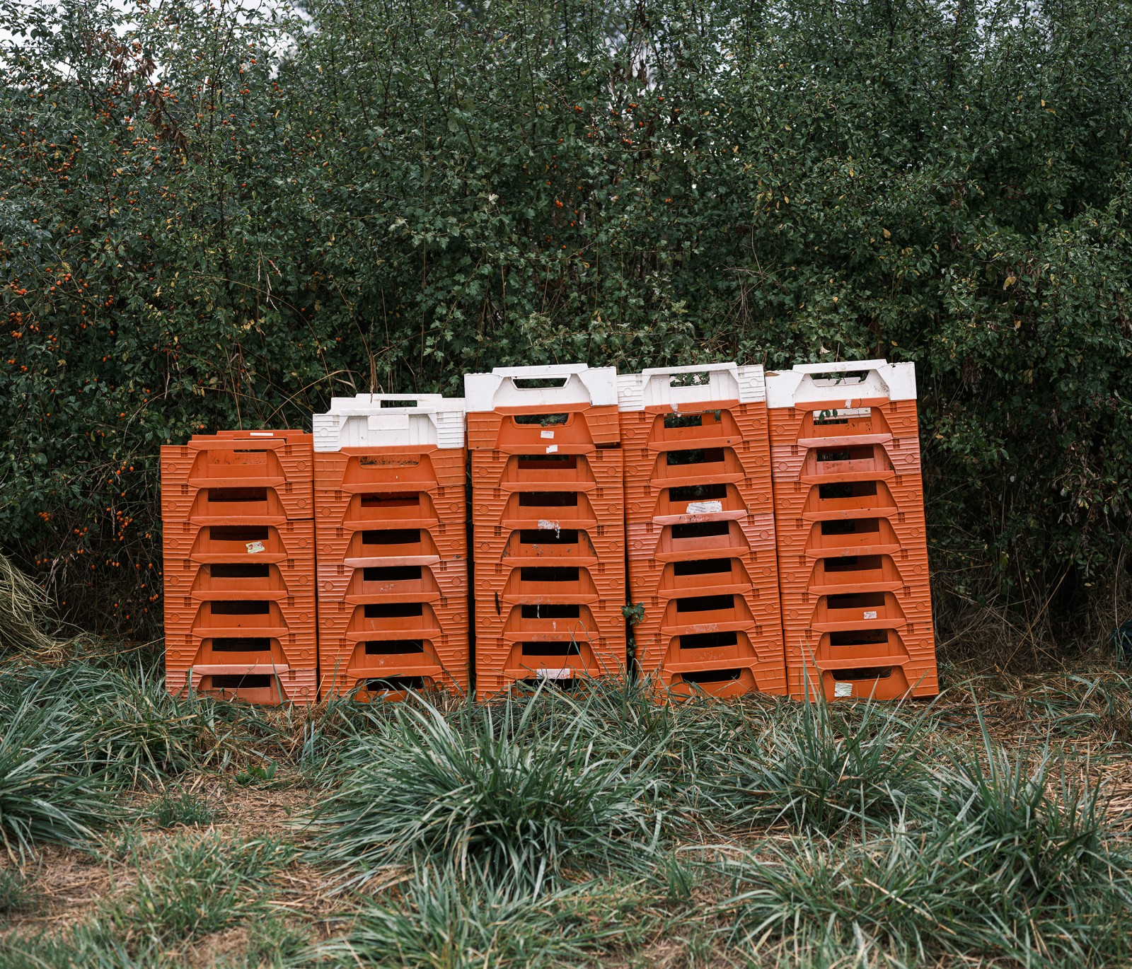 julien-lelievre-poliveau-photo-dscf9604