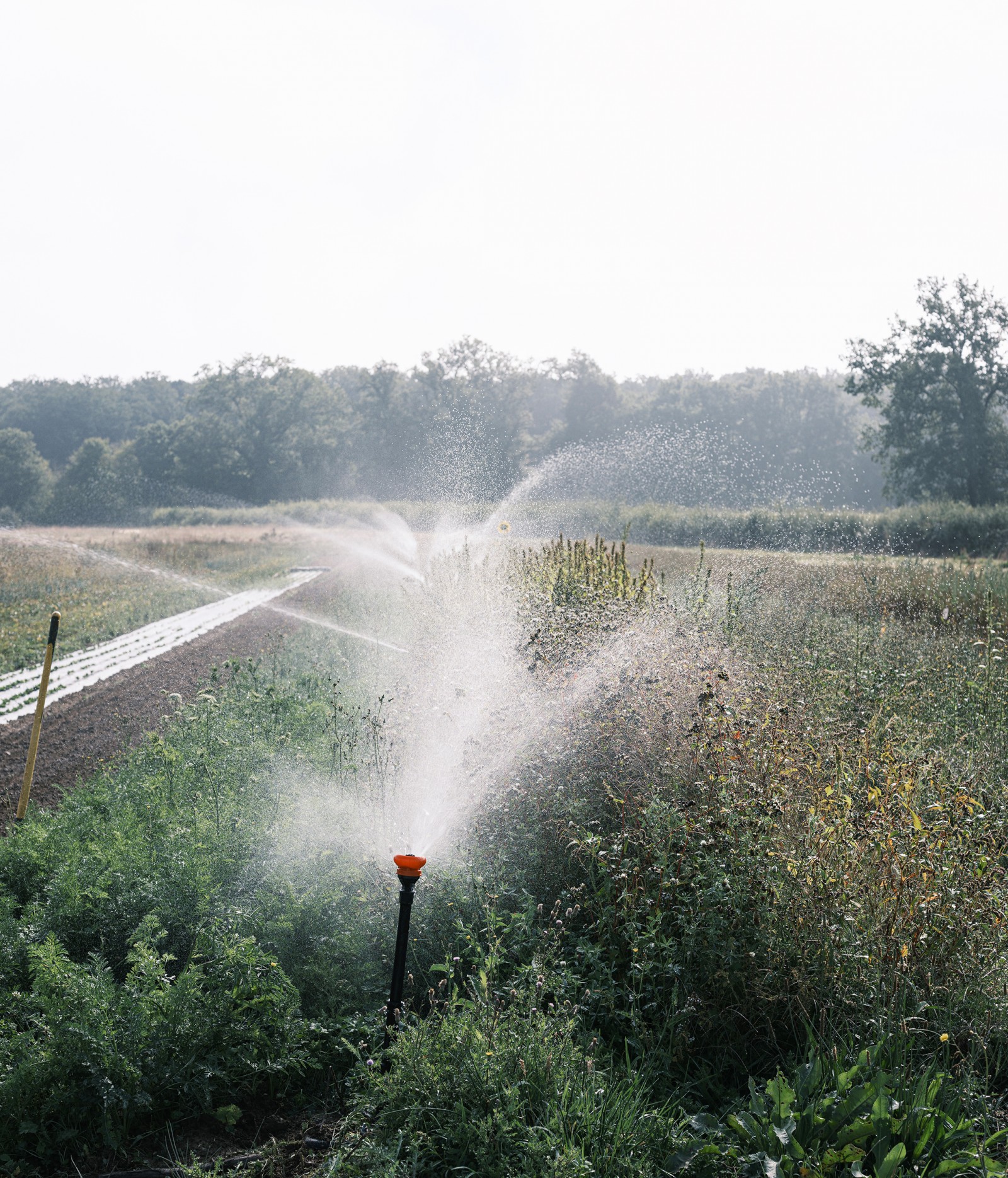 julien-lelievre-poliveau-photo-dscf9888