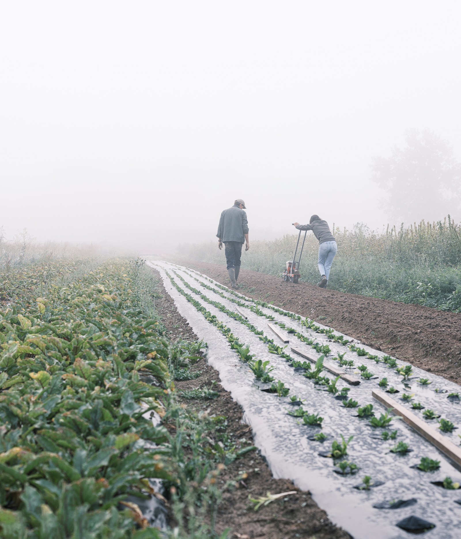 julien-lelievre-poliveau-photo-dscf9722