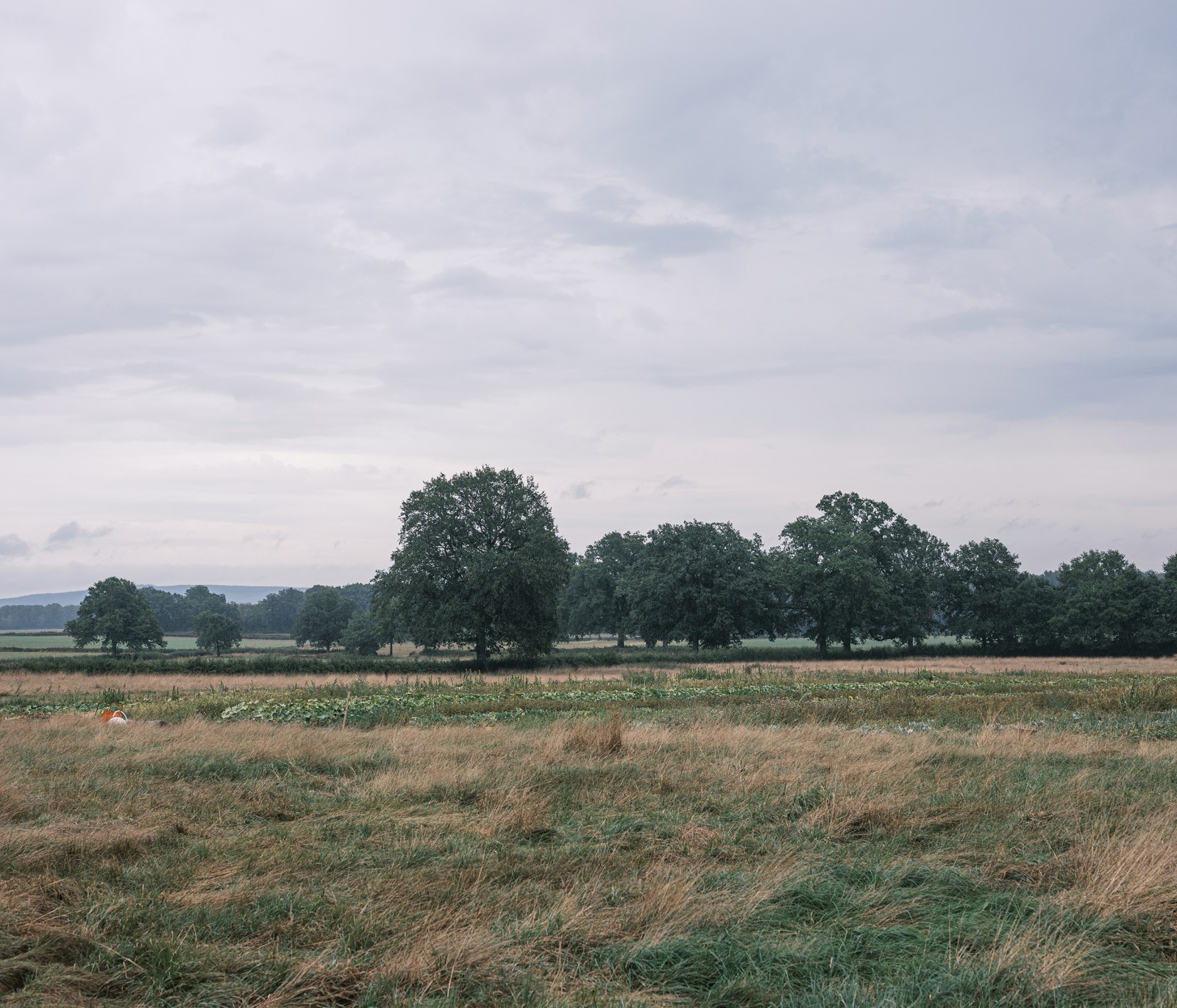julien-lelievre-poliveau-photo-dscf9539
