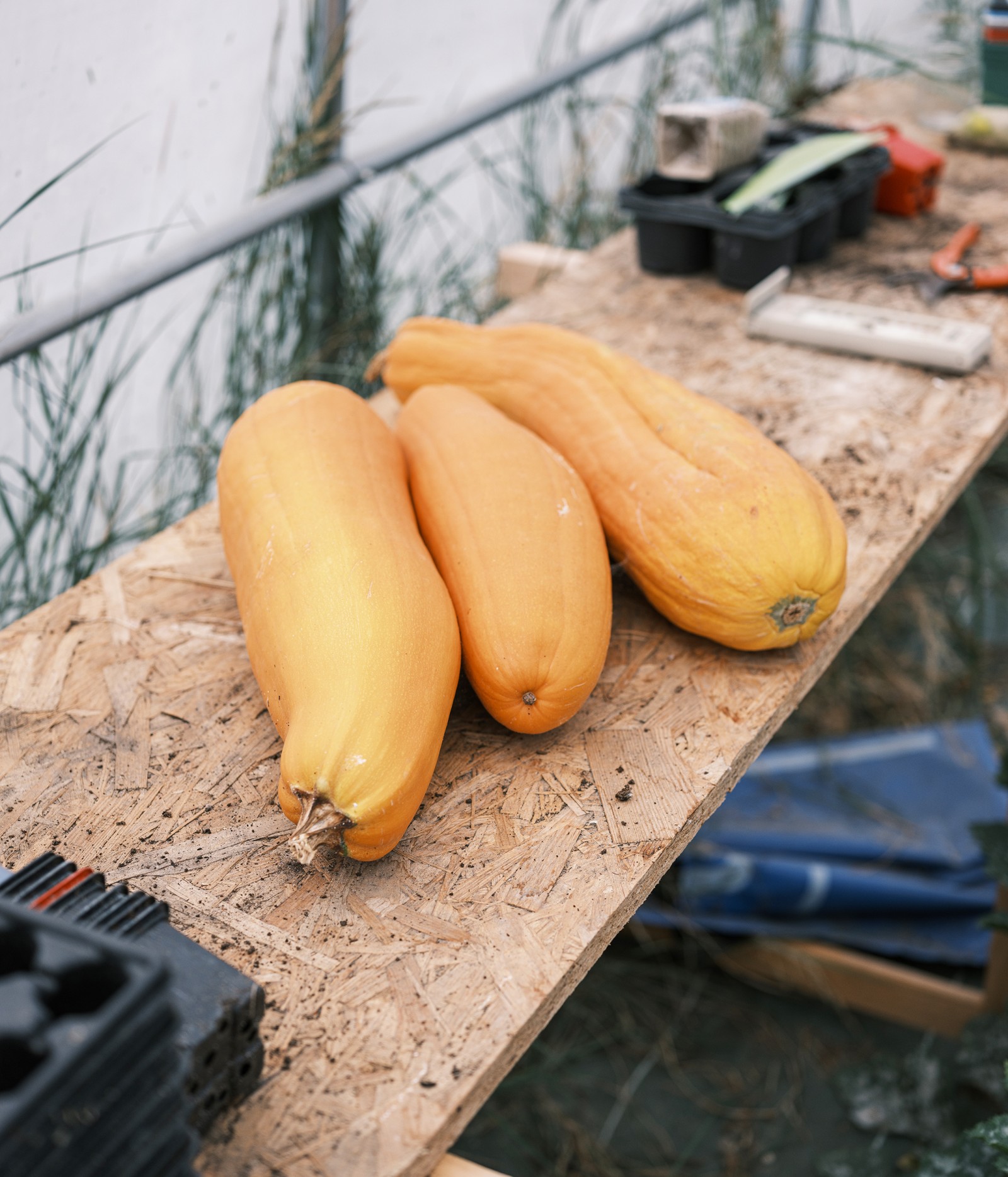 julien-lelievre-poliveau-photo-dscf9535