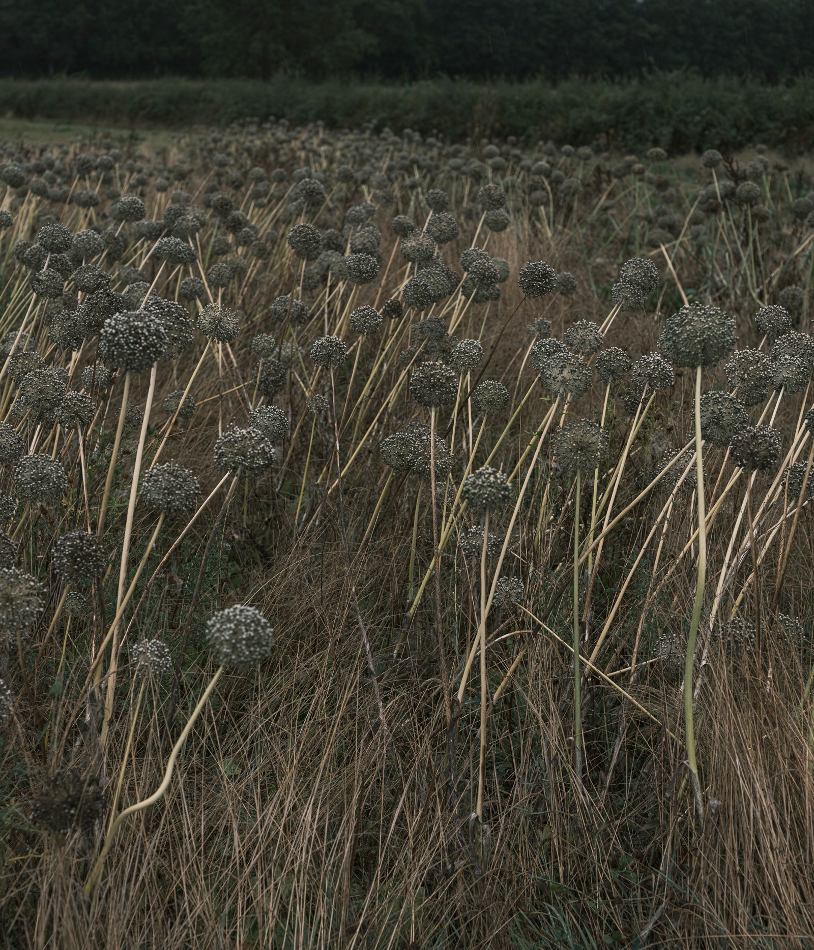 julien-lelievre-poliveau-photo-dscf9602