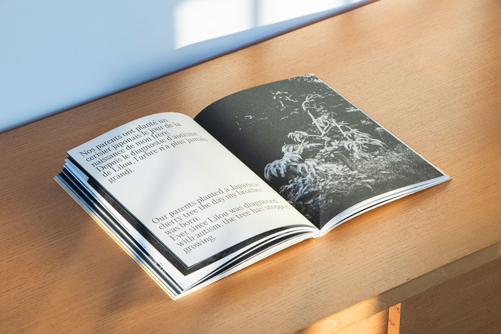 lelievre-becontent-lilou-a31a7452