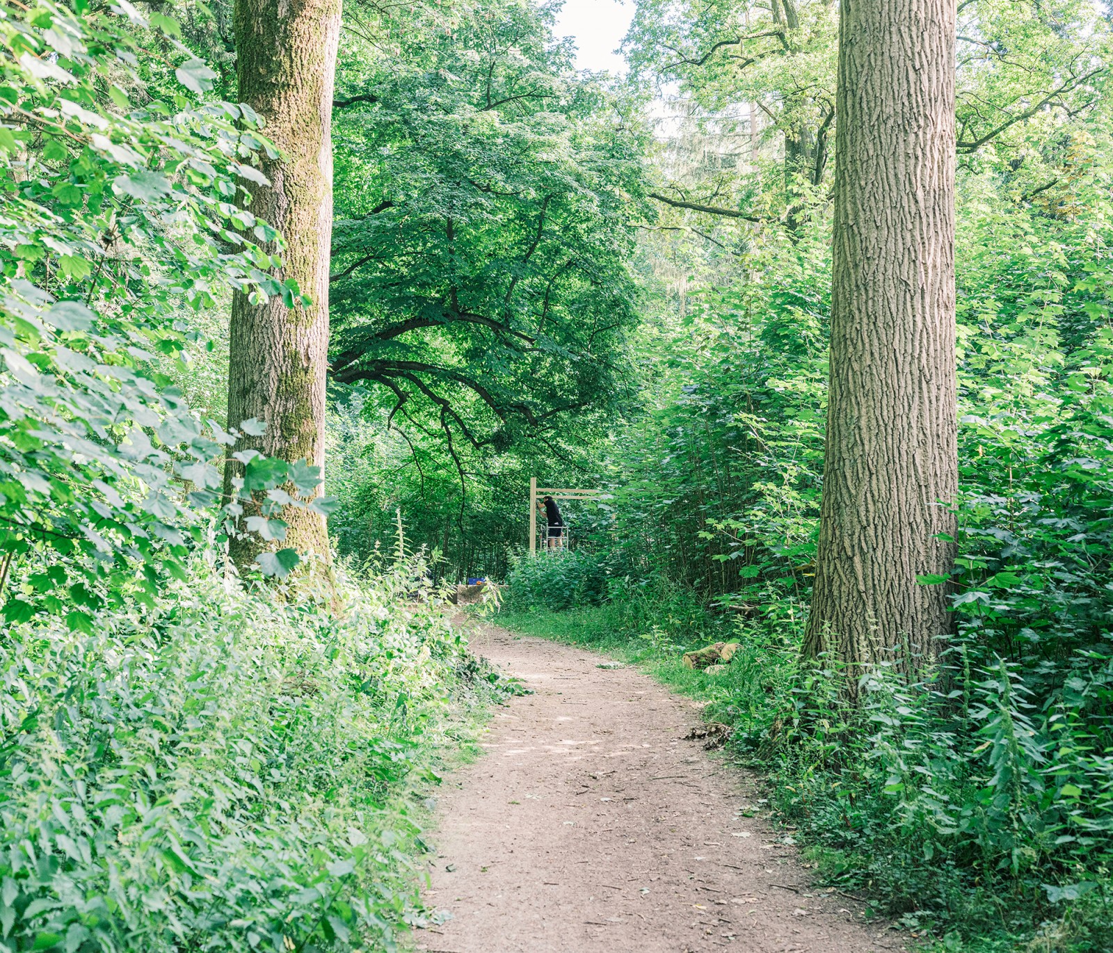 lelievre-waao-sainghin-56