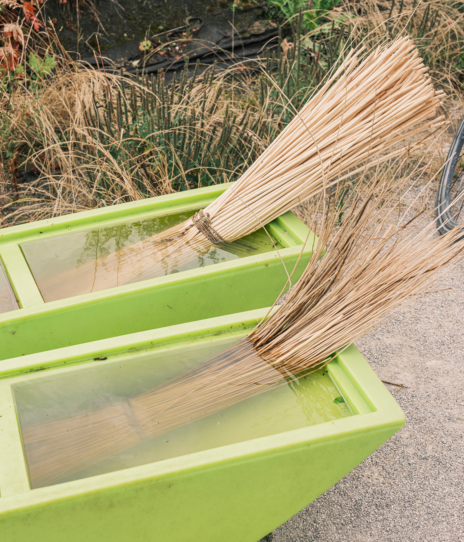 lelievre-waao-marquette-99