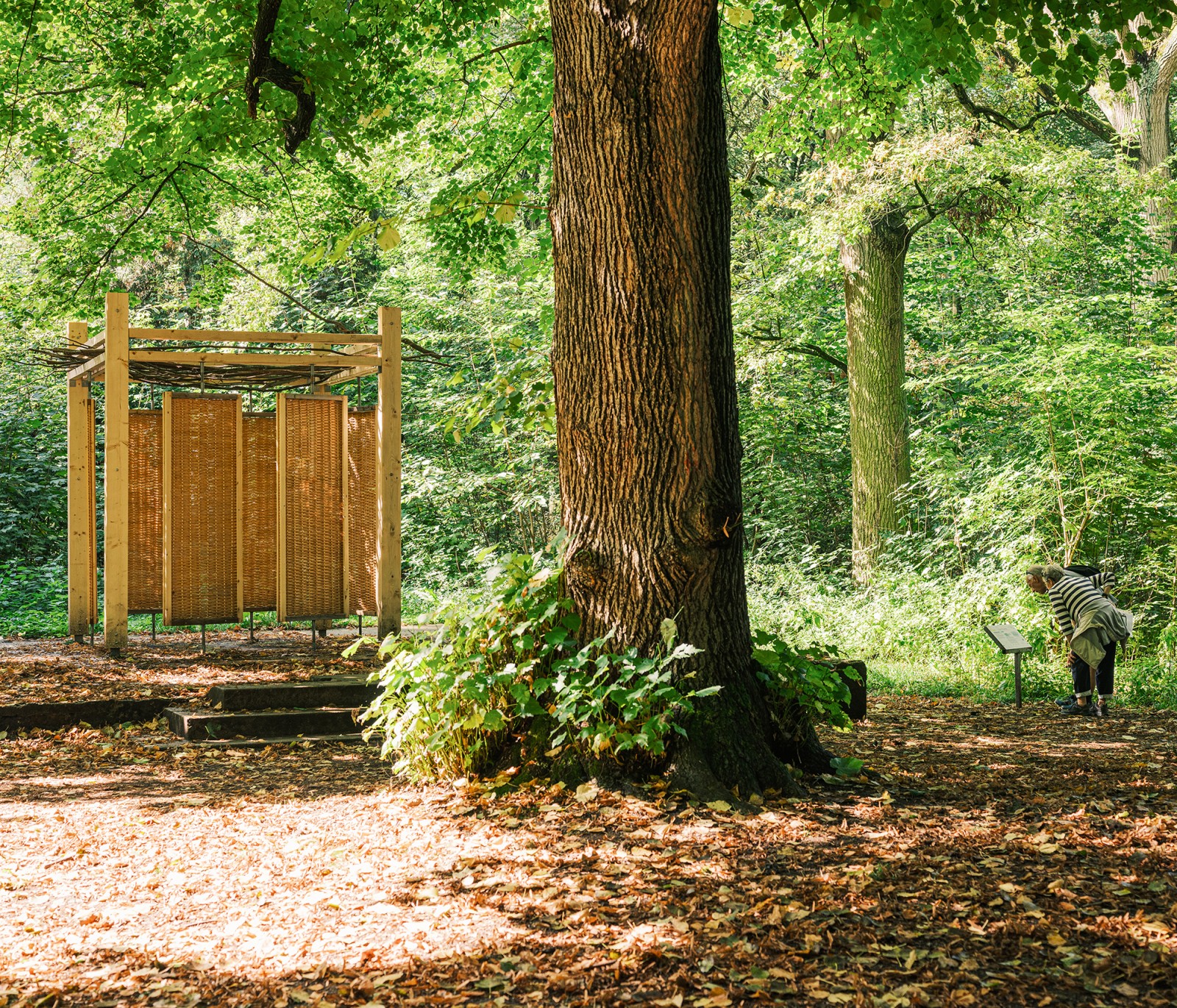 lelievre-waoo-sainghin-dscf6841