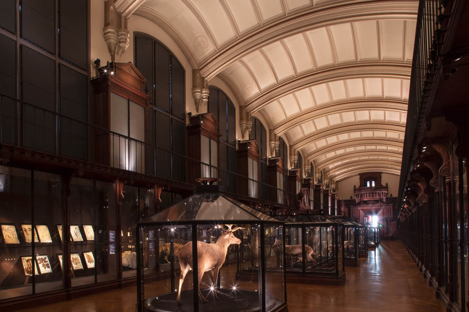 julien-lelievre-vaste-00004