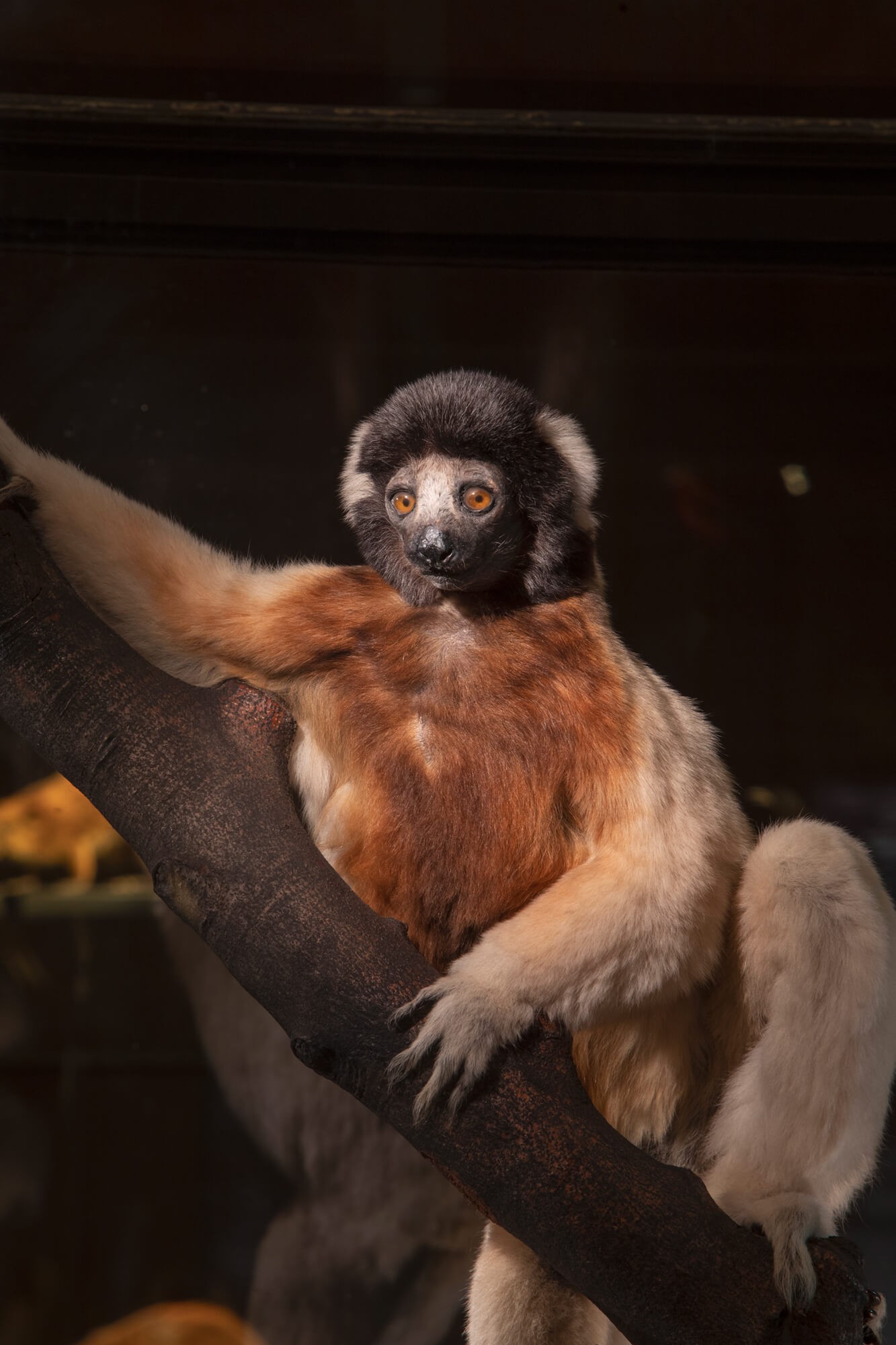 julien-lelievre-vaste-00006