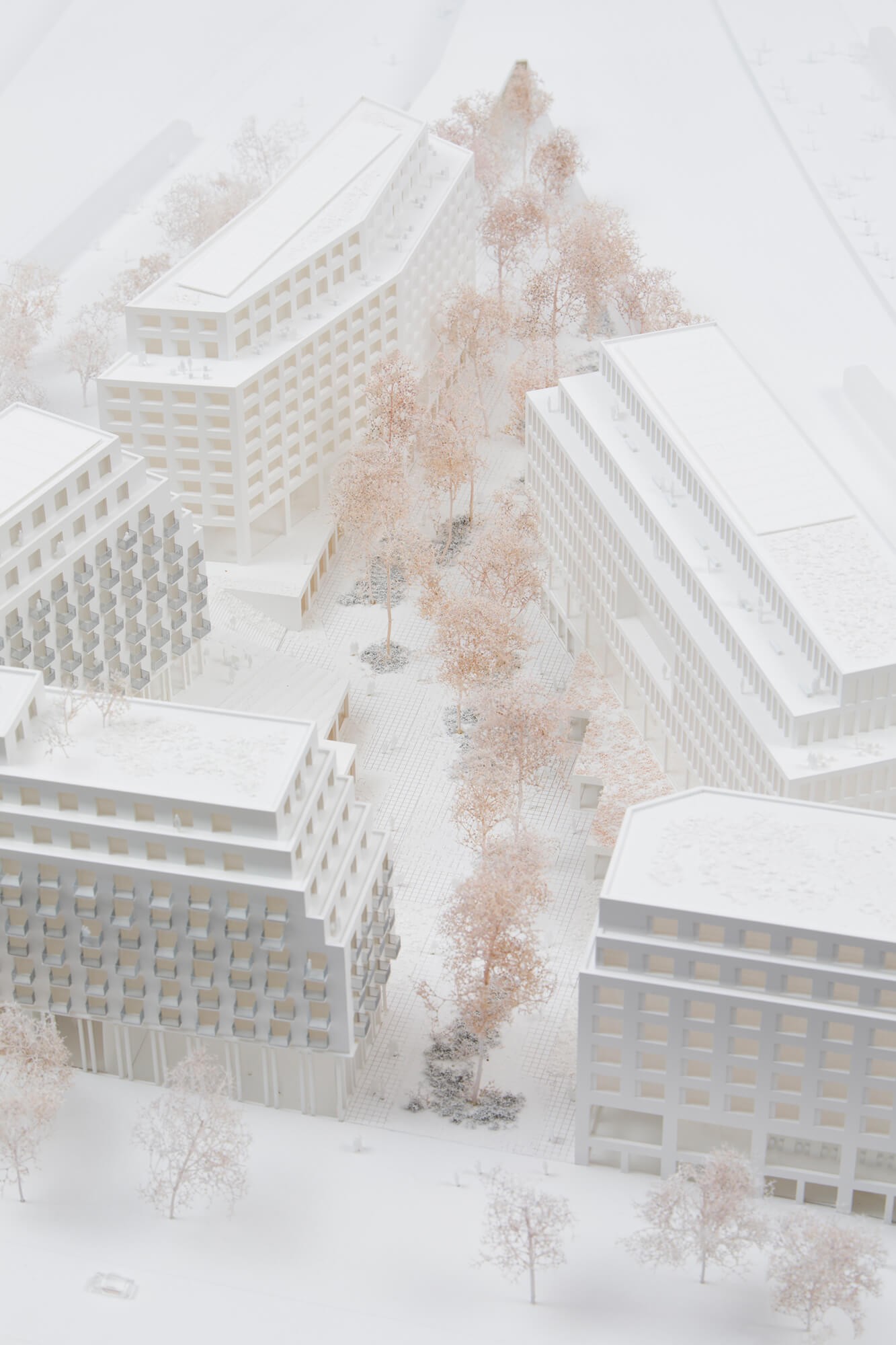 julien-lelievre-tvk-00009