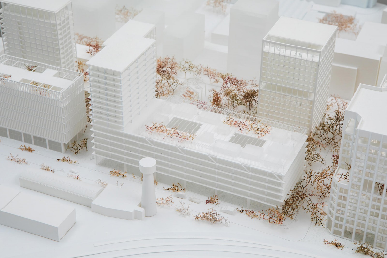 julien-lelievre-tvk-00007