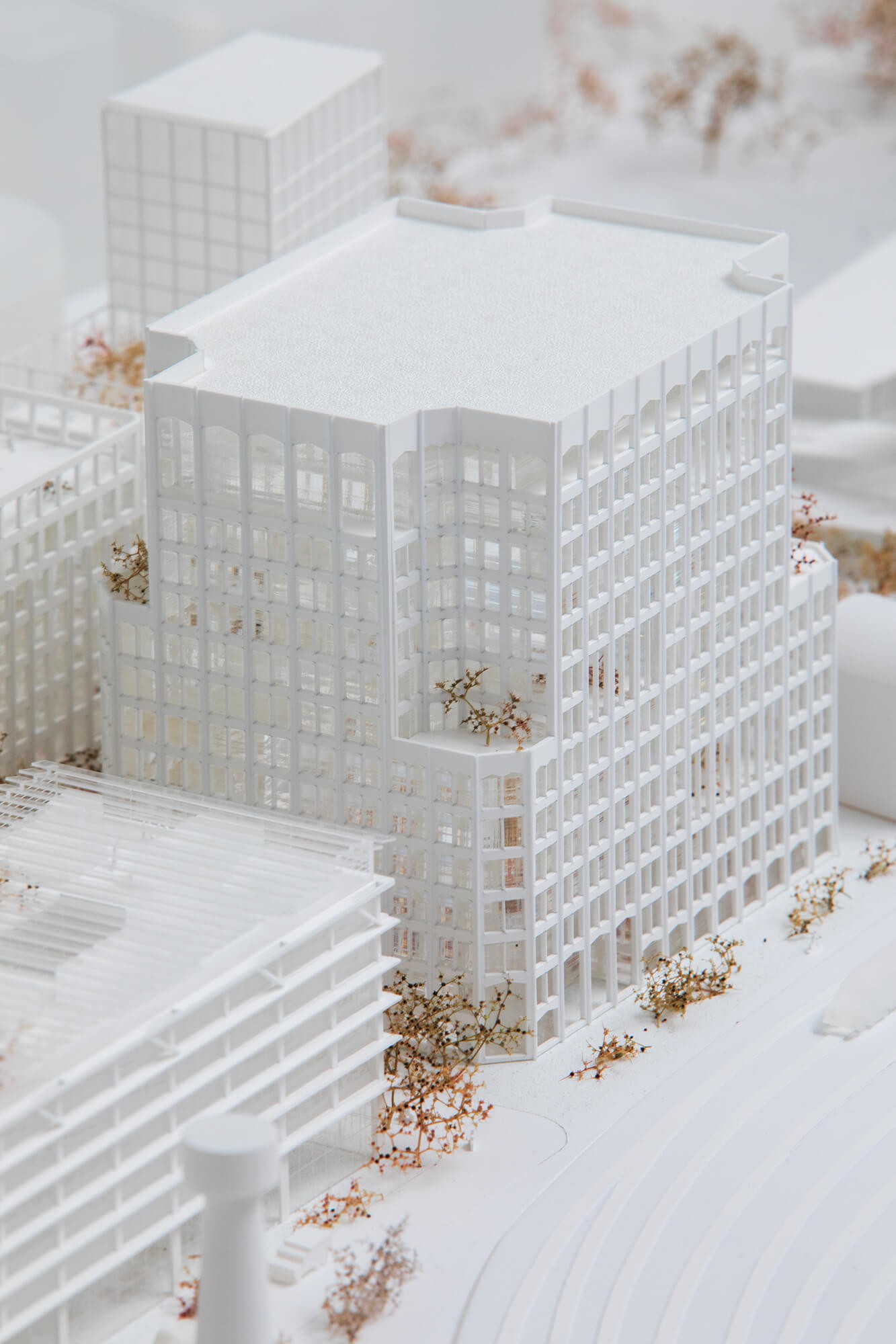 julien-lelievre-tvk-00008