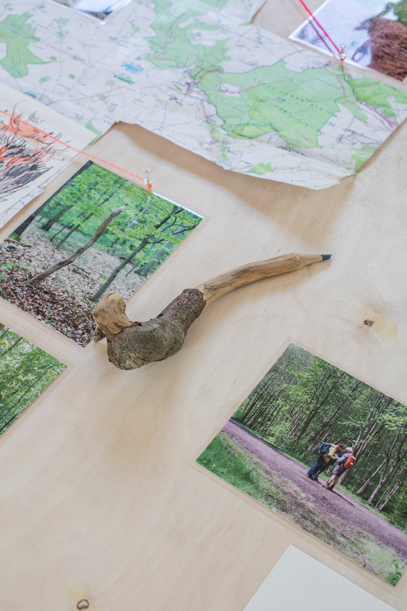 julien-lelievre-stcrespin-a31a3433