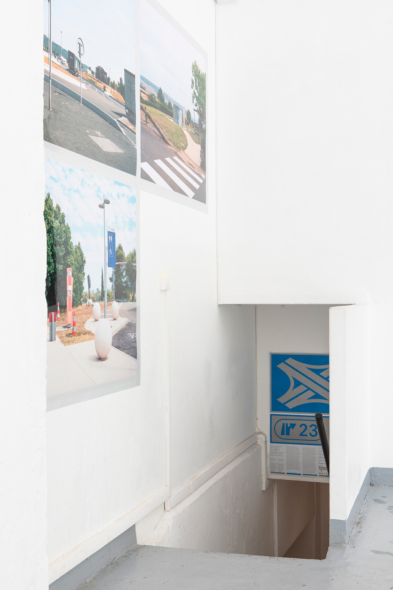 signals-aa-floreal-a31a8065