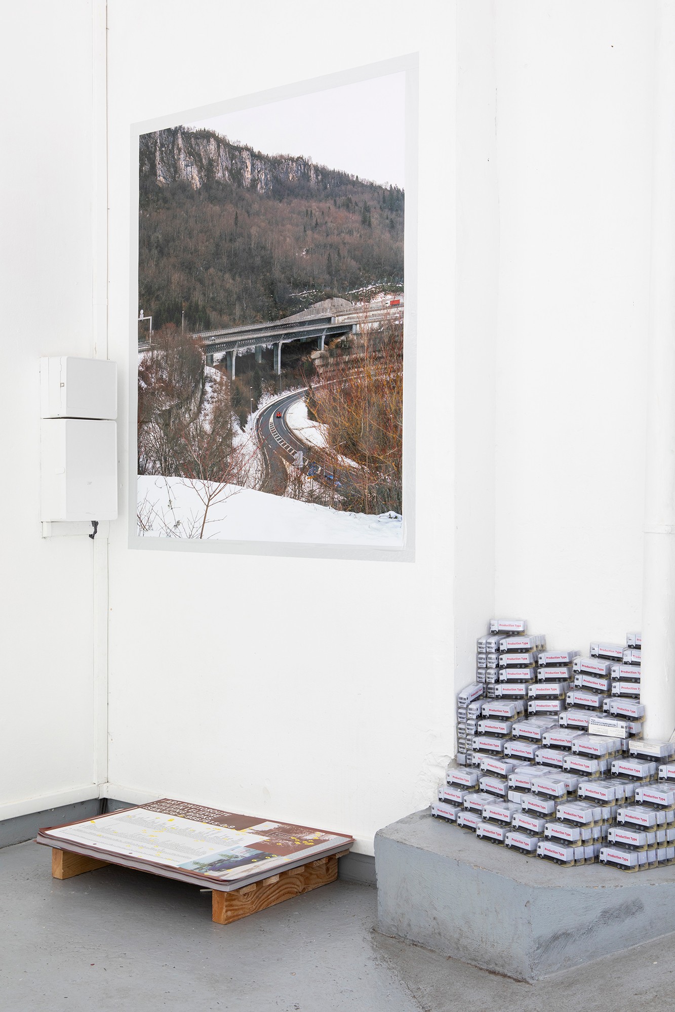 signals-aa-floreal-a31a8023