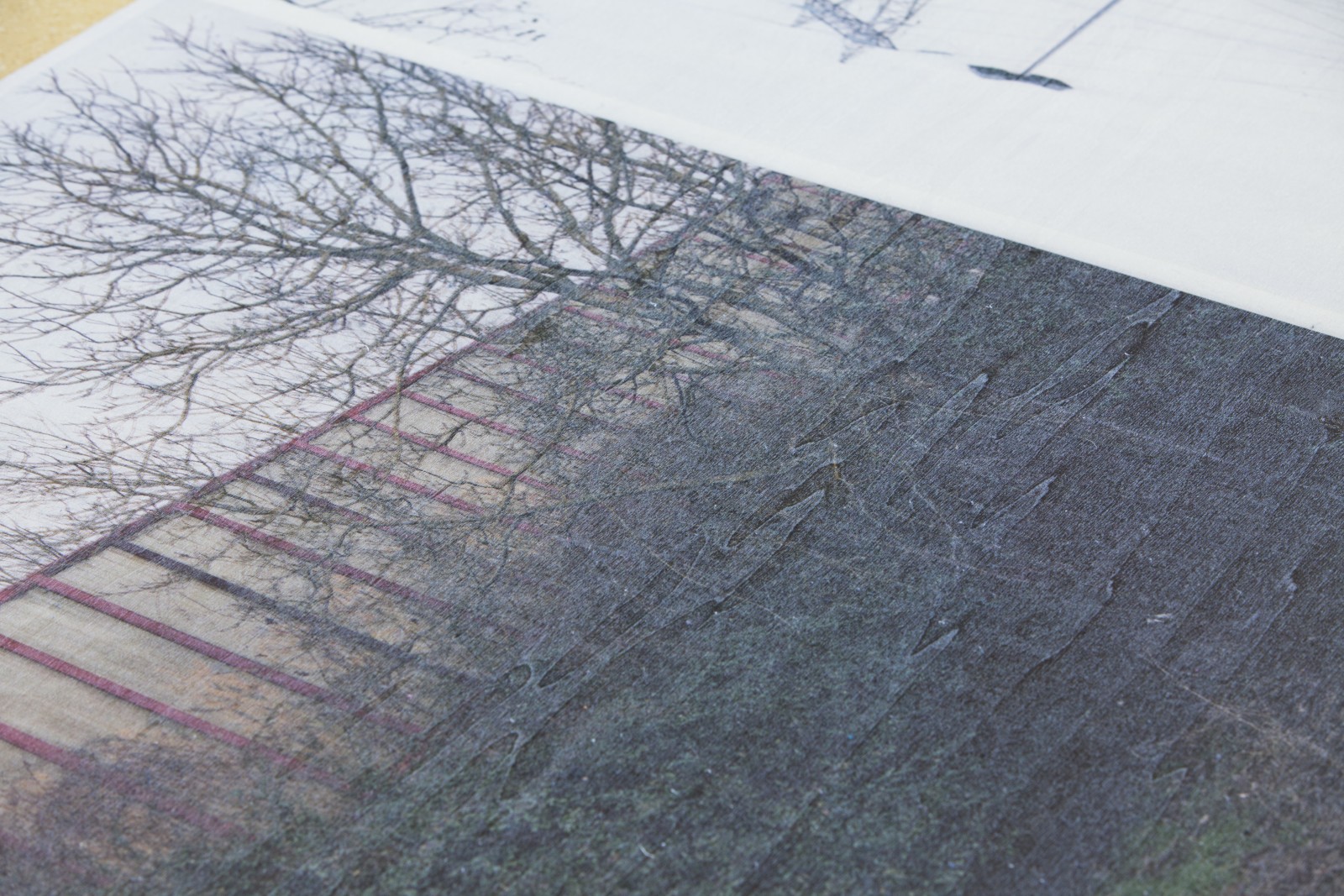 julien-lelievre-bonjourlambiance-ecfm-img_8209