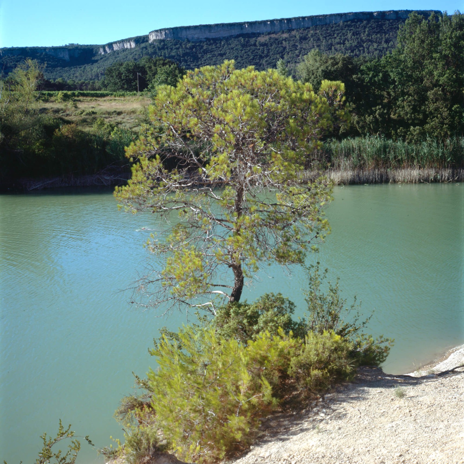 julien-lelievre-15aout-06