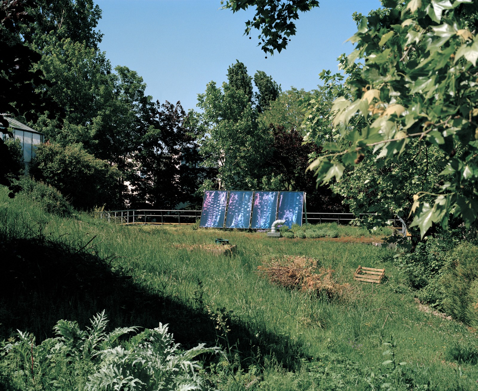 julienlelievre-1km1h-12a