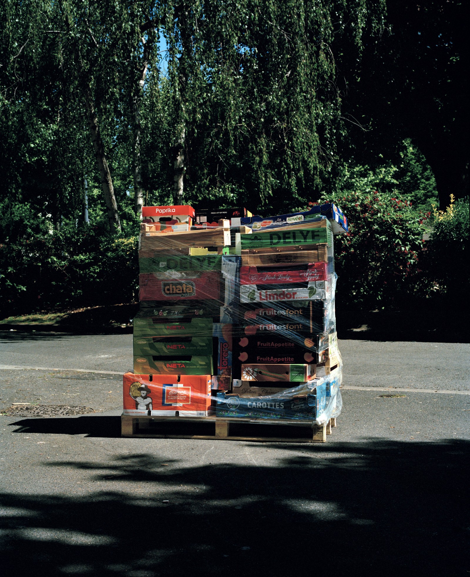 julienlelievre-1km1h-13