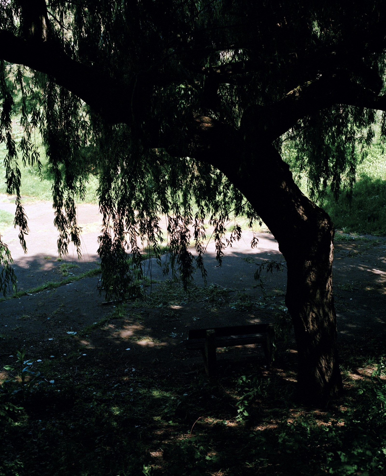 julienlelievre-1km1h-17