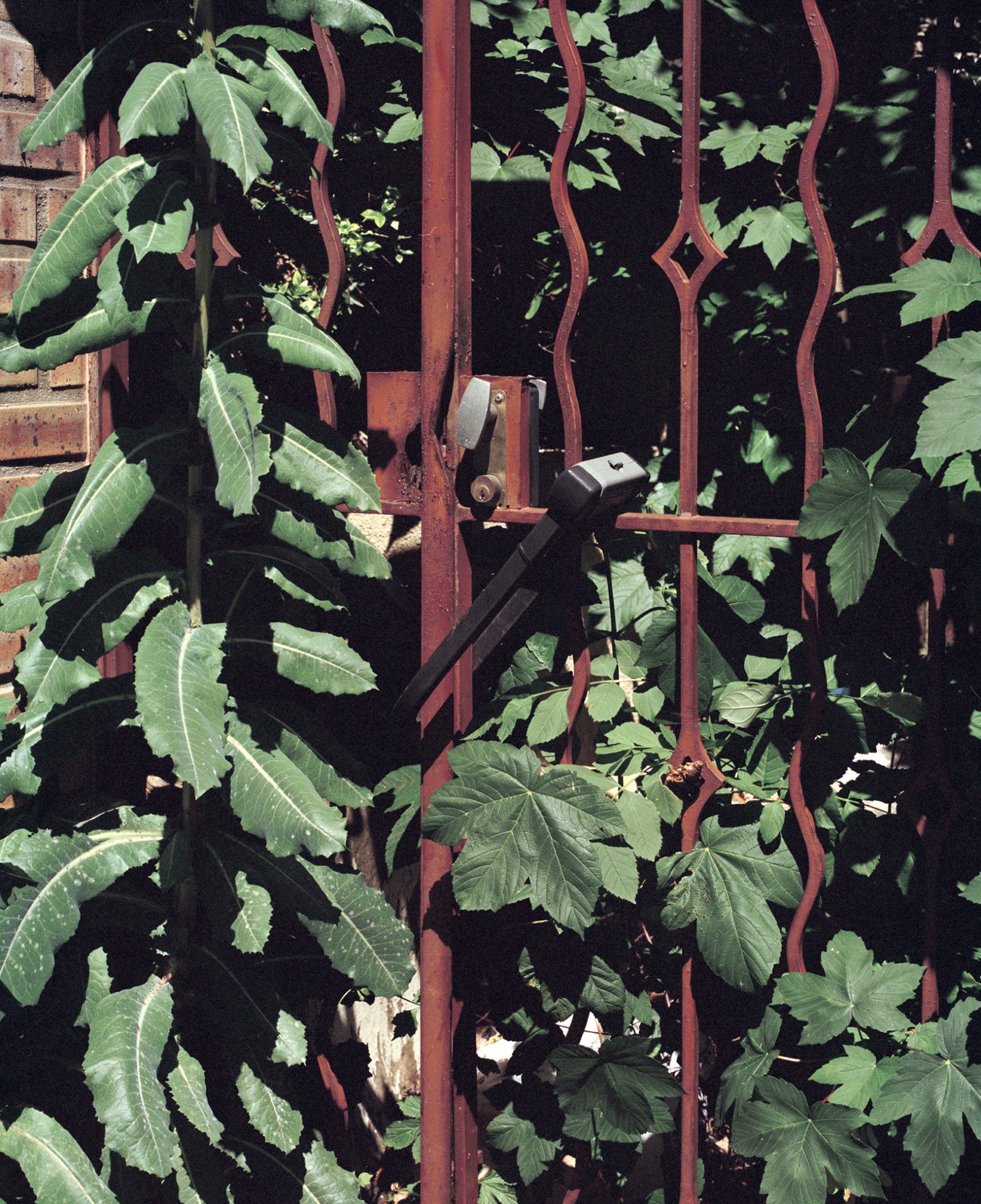 julienlelievre-1km1h-16