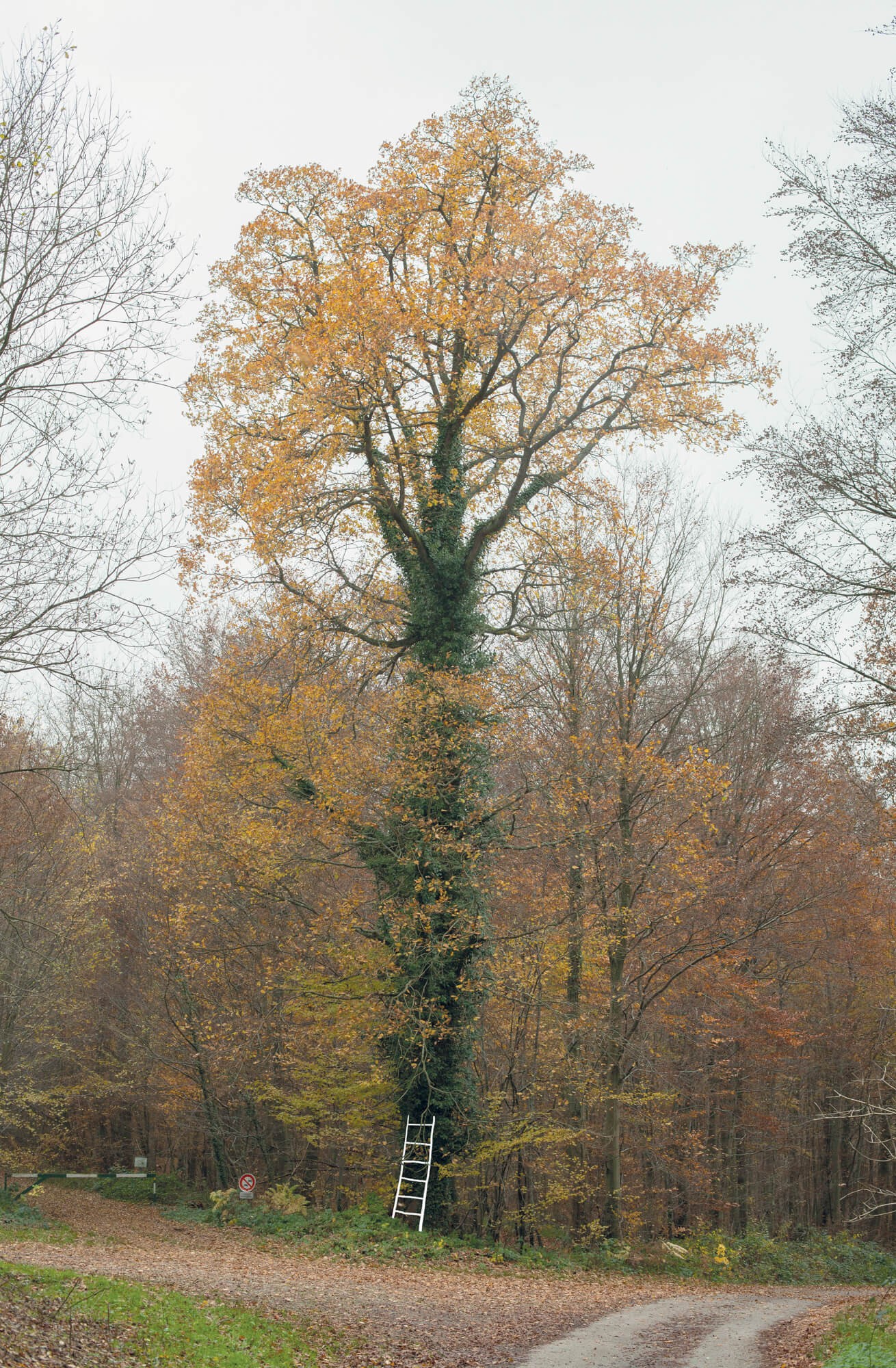 julien-lelievre-belleficelle-pics-00004