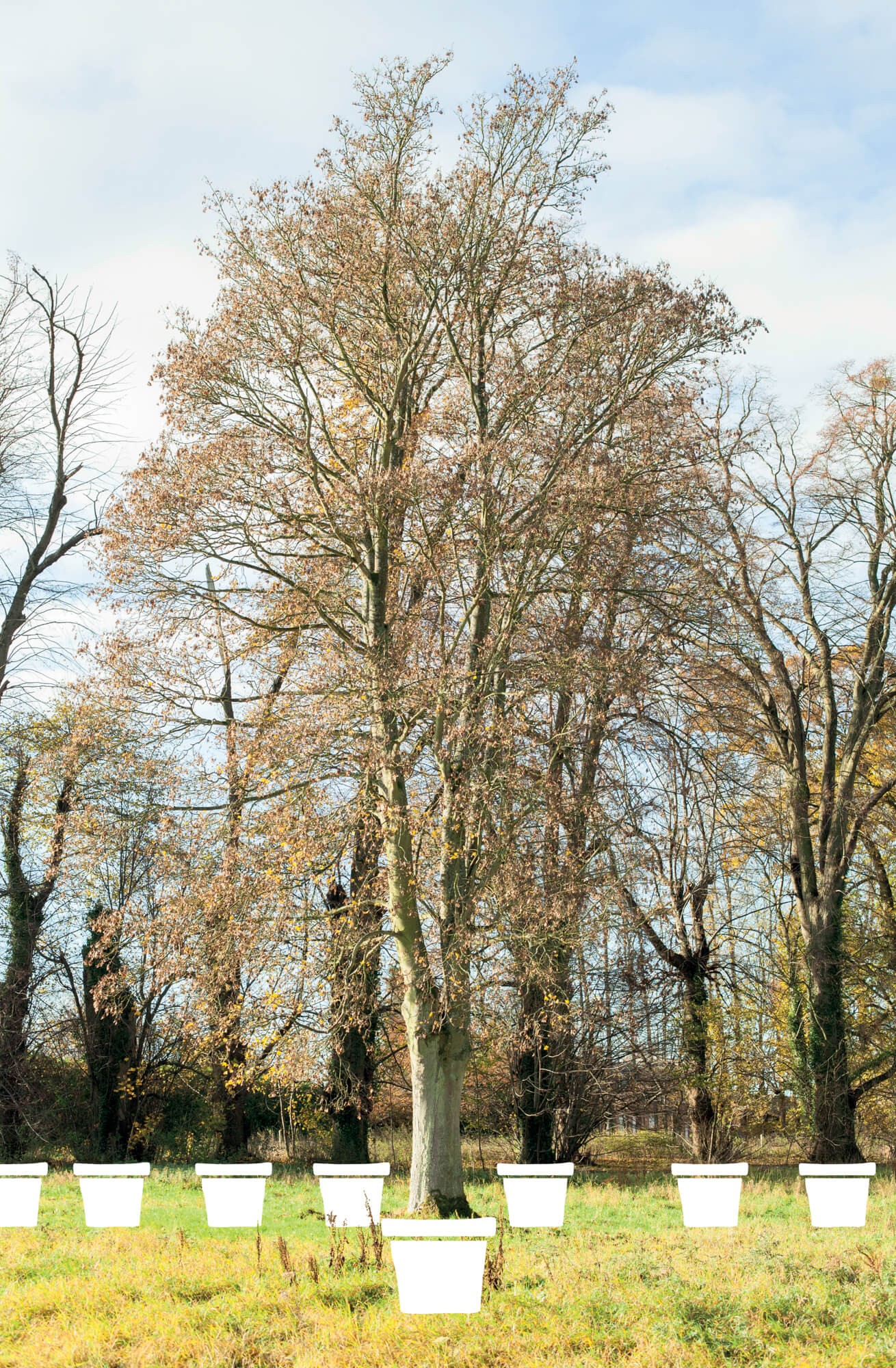 julien-lelievre-belleficelle-pics-00026