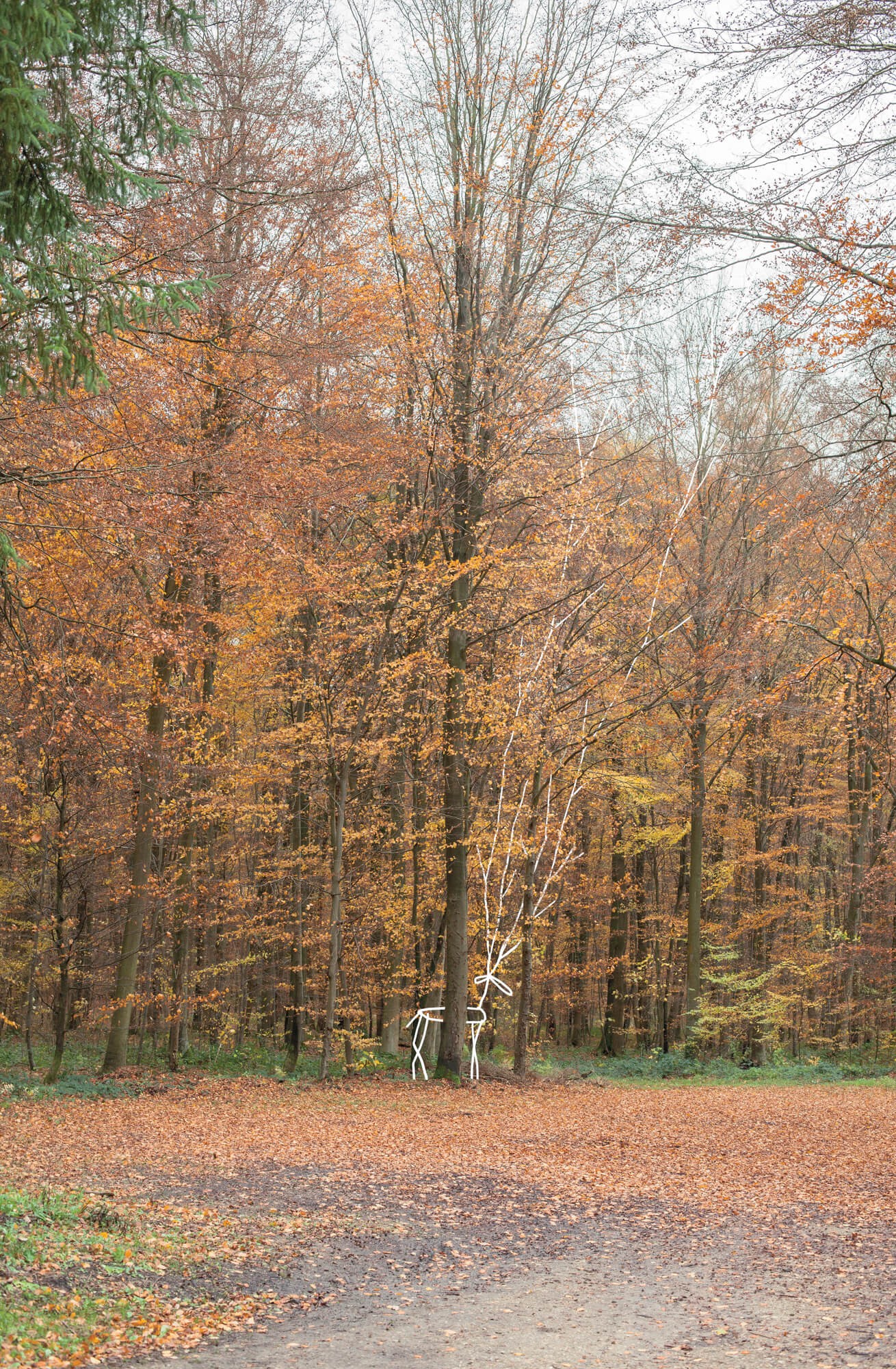 julien-lelievre-belleficelle-pics-00005