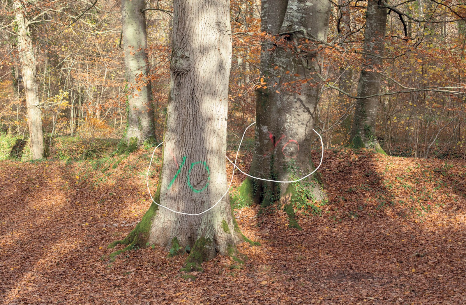 julien-lelievre-belleficelle-pics-00043