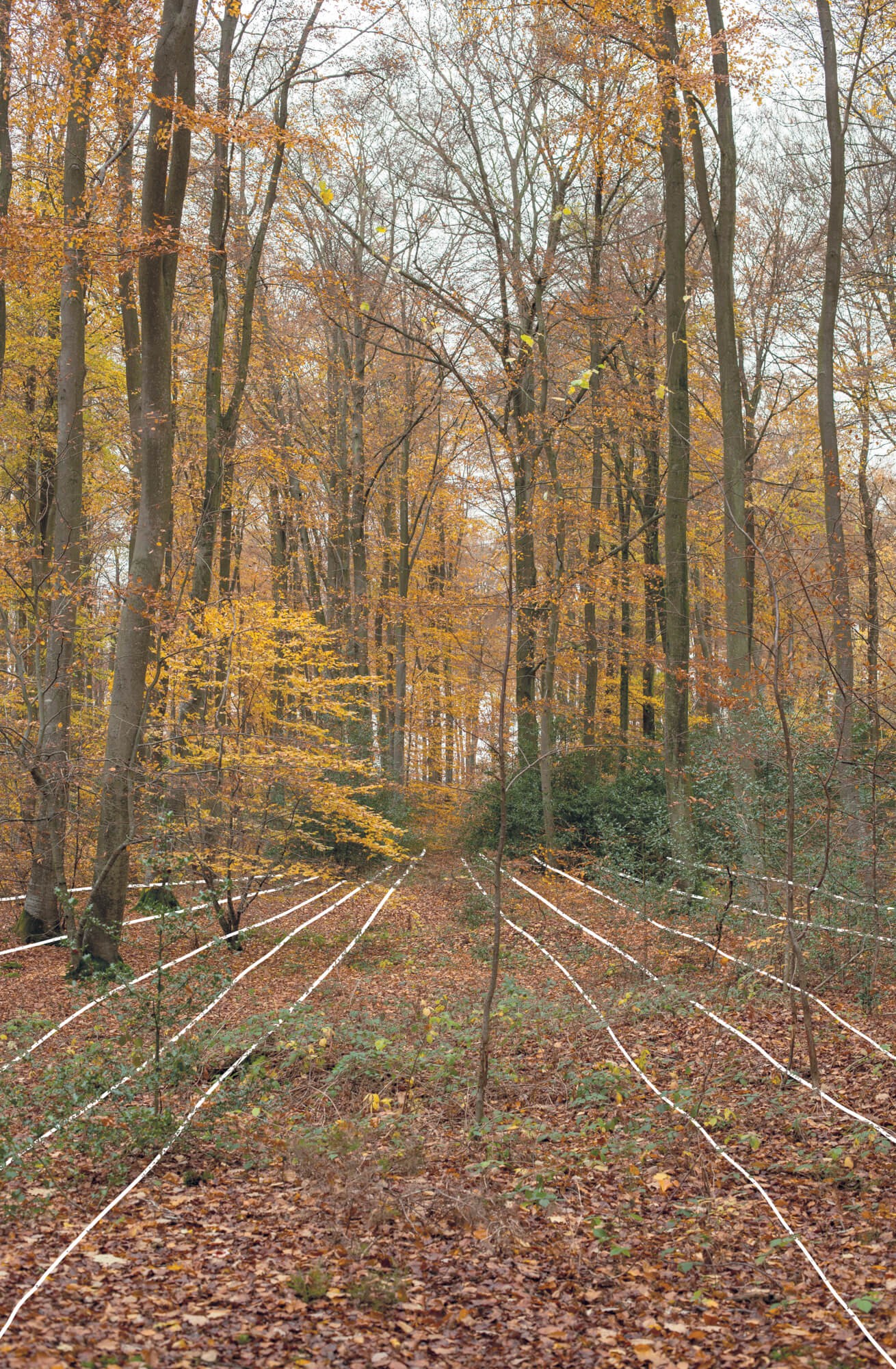 julien-lelievre-belleficelle-pics-00008