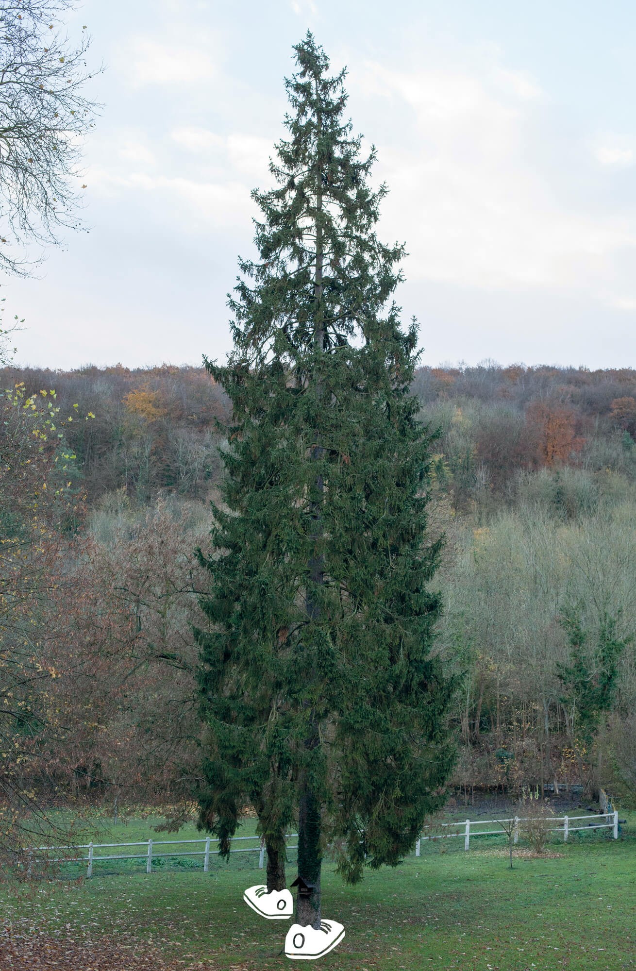 julien-lelievre-belleficelle-pics-00014