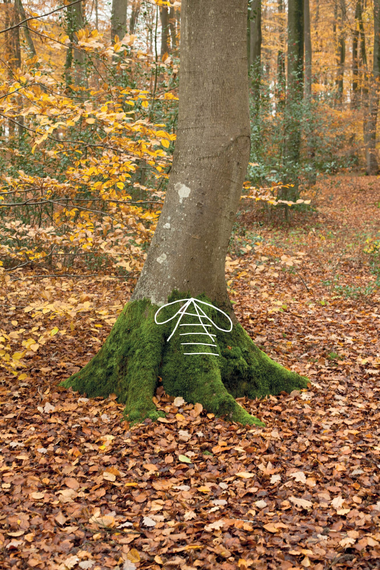 julien-lelievre-belleficelle-pics-00007