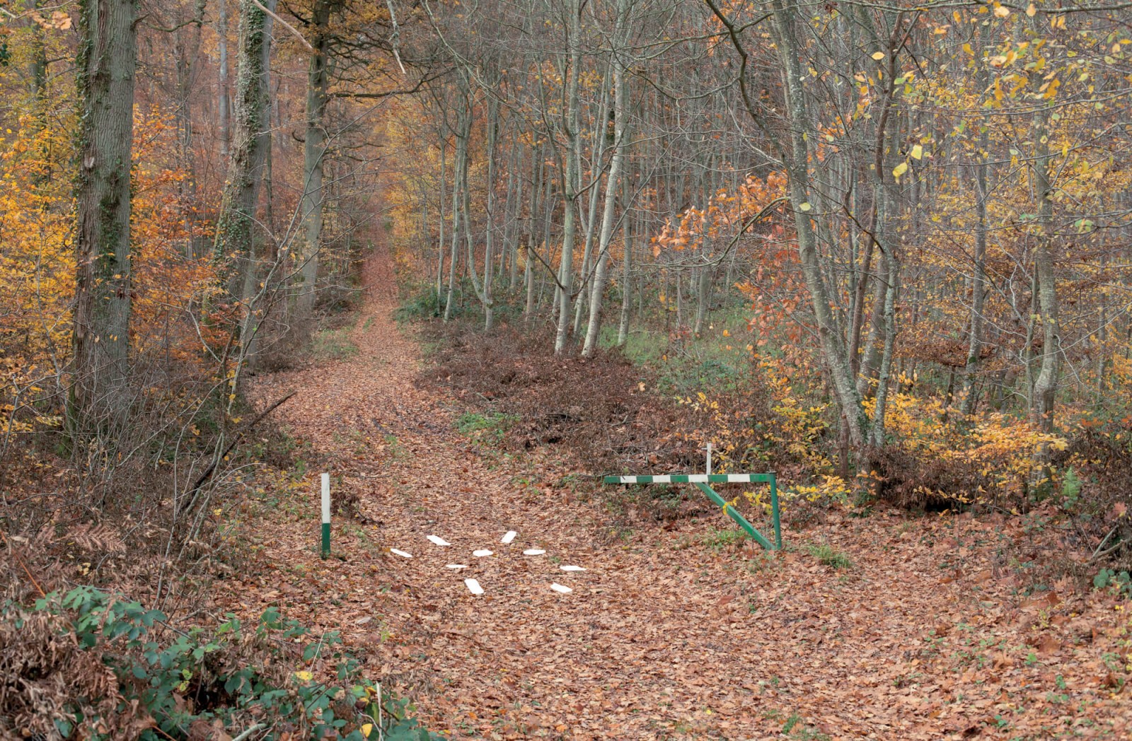 julien-lelievre-belleficelle-pics-00045