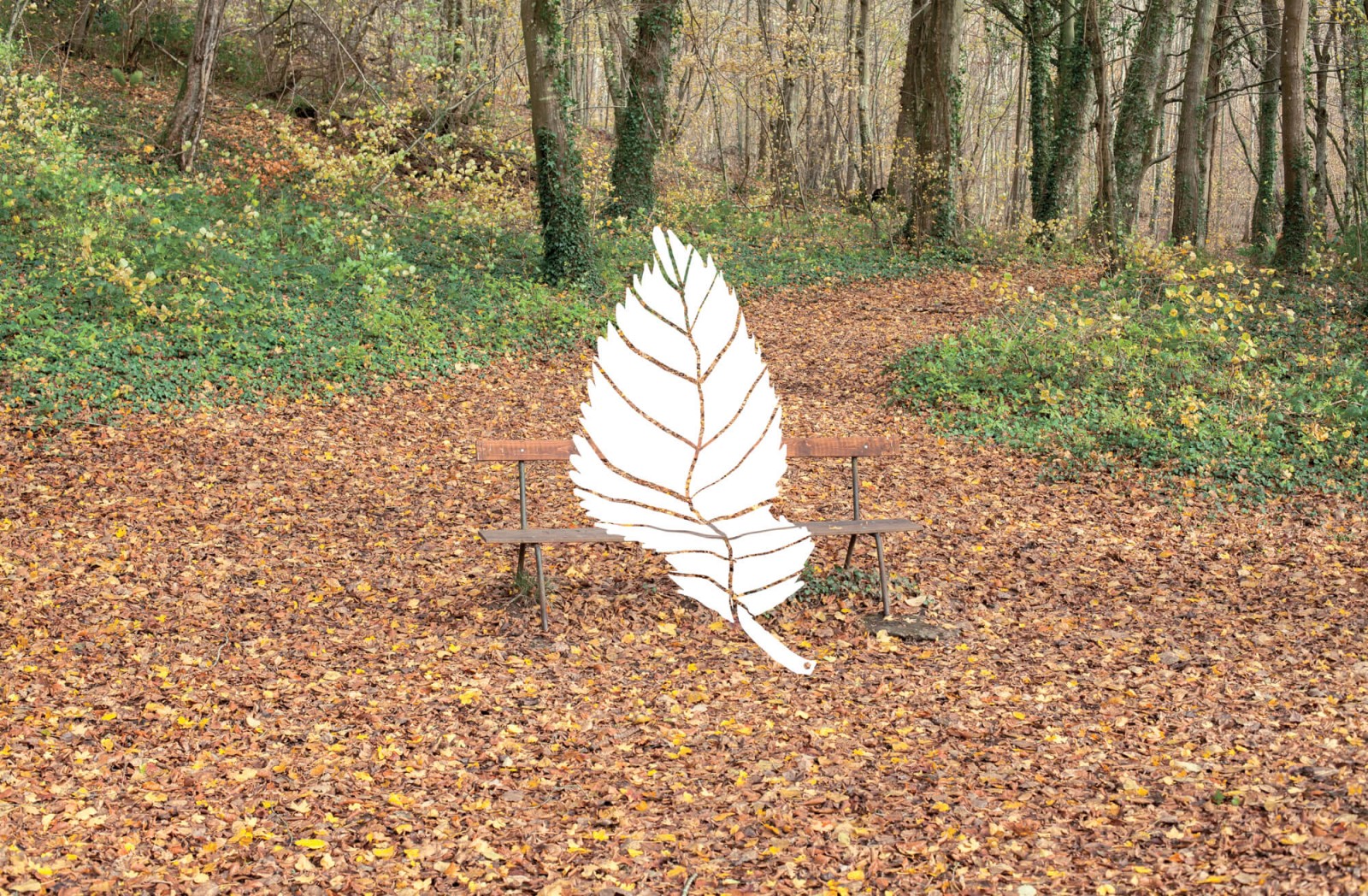 julien-lelievre-belleficelle-pics-00041