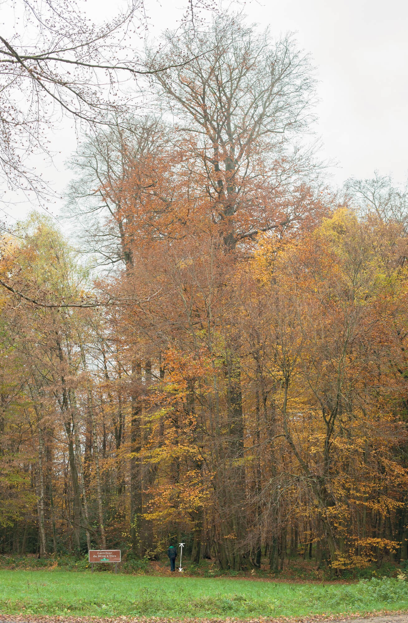 julien-lelievre-belleficelle-pics-00006