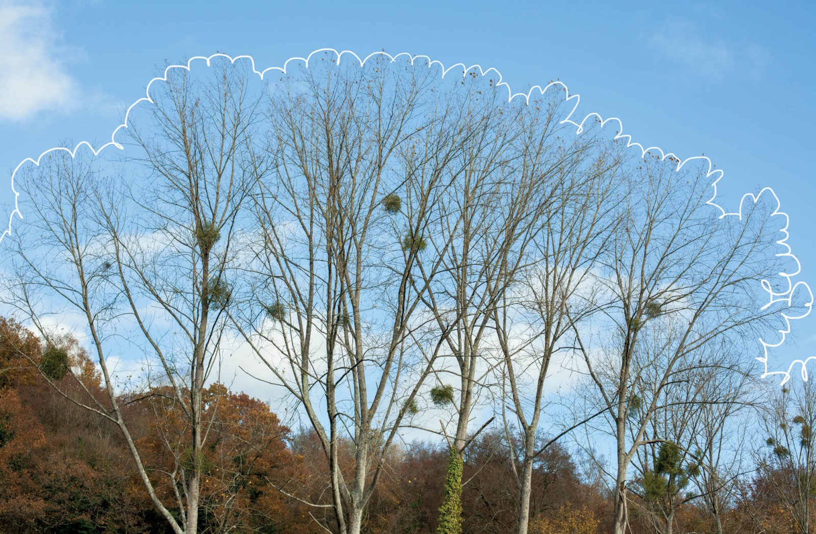 julien-lelievre-belleficelle-pics-00039