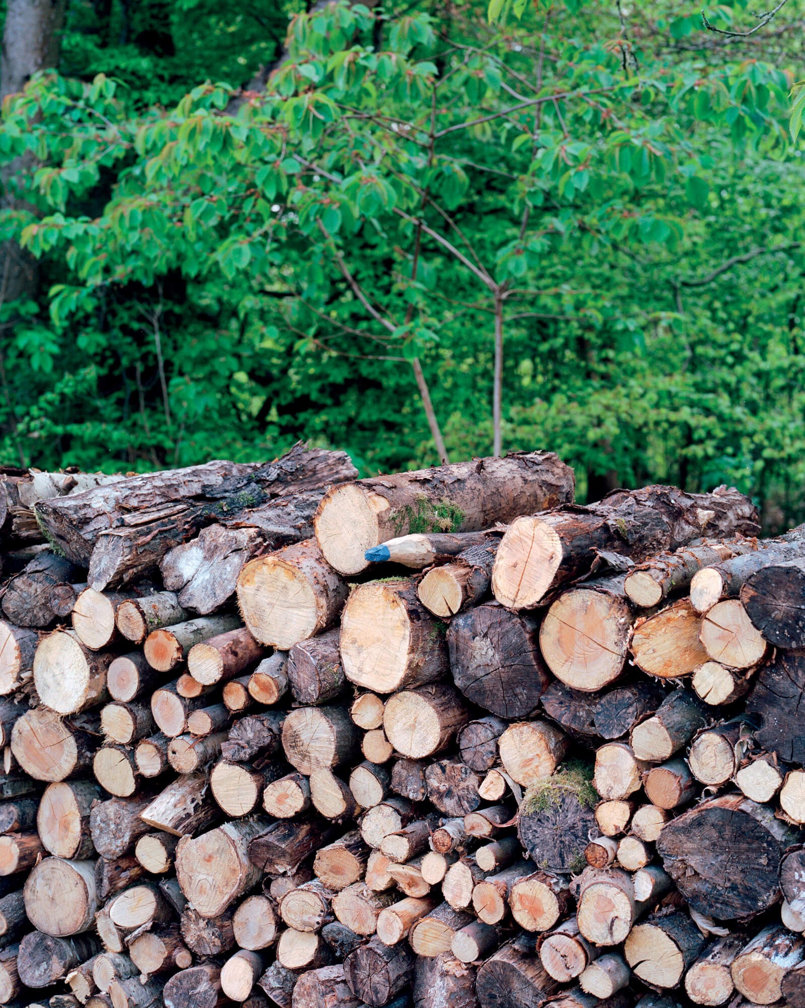 julien-lelievre-bivouac-pics-14