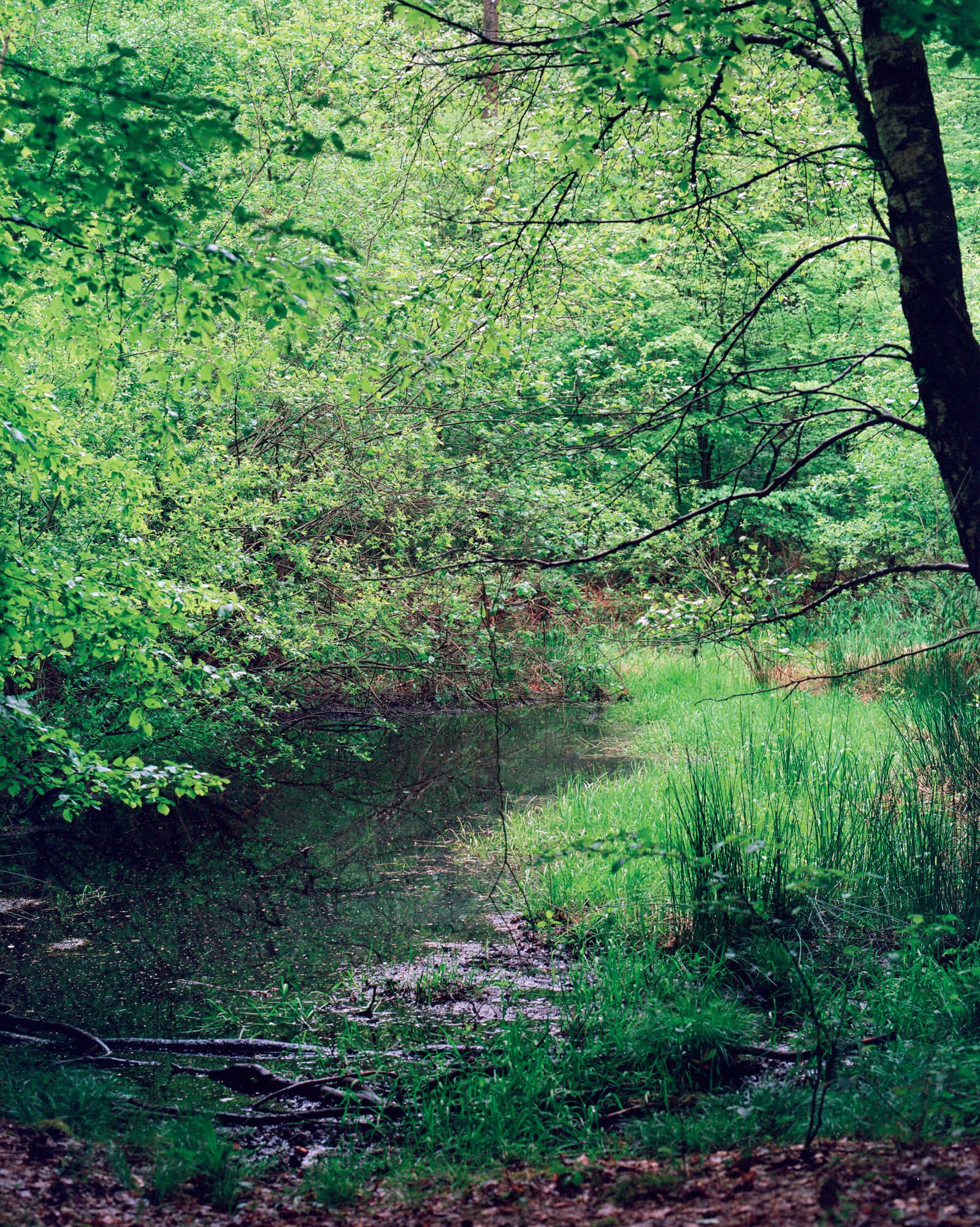 julien-lelievre-bivouac-pics-17